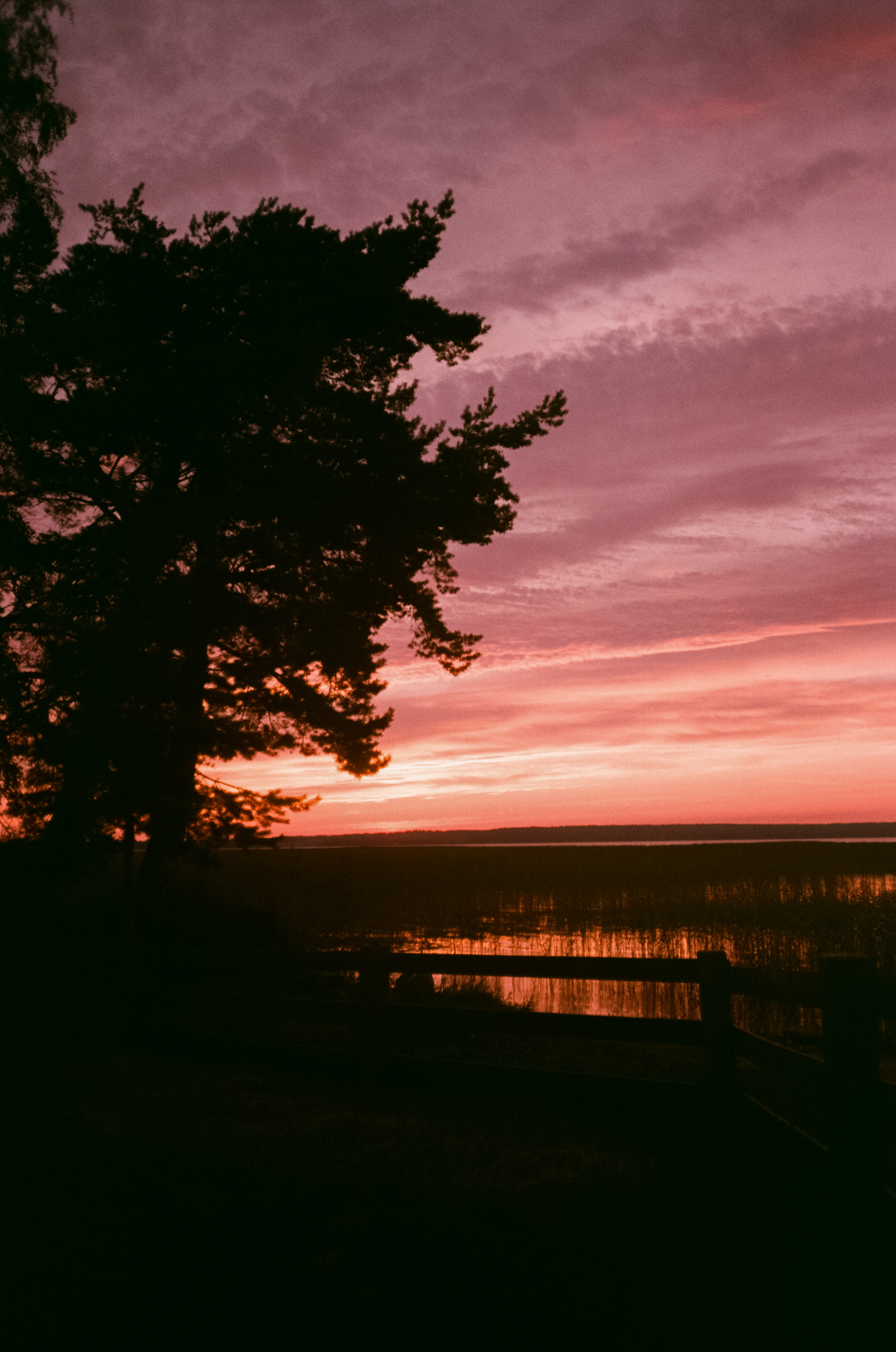 Снимаем восходы на просроченную пленку Konica Centuria 400