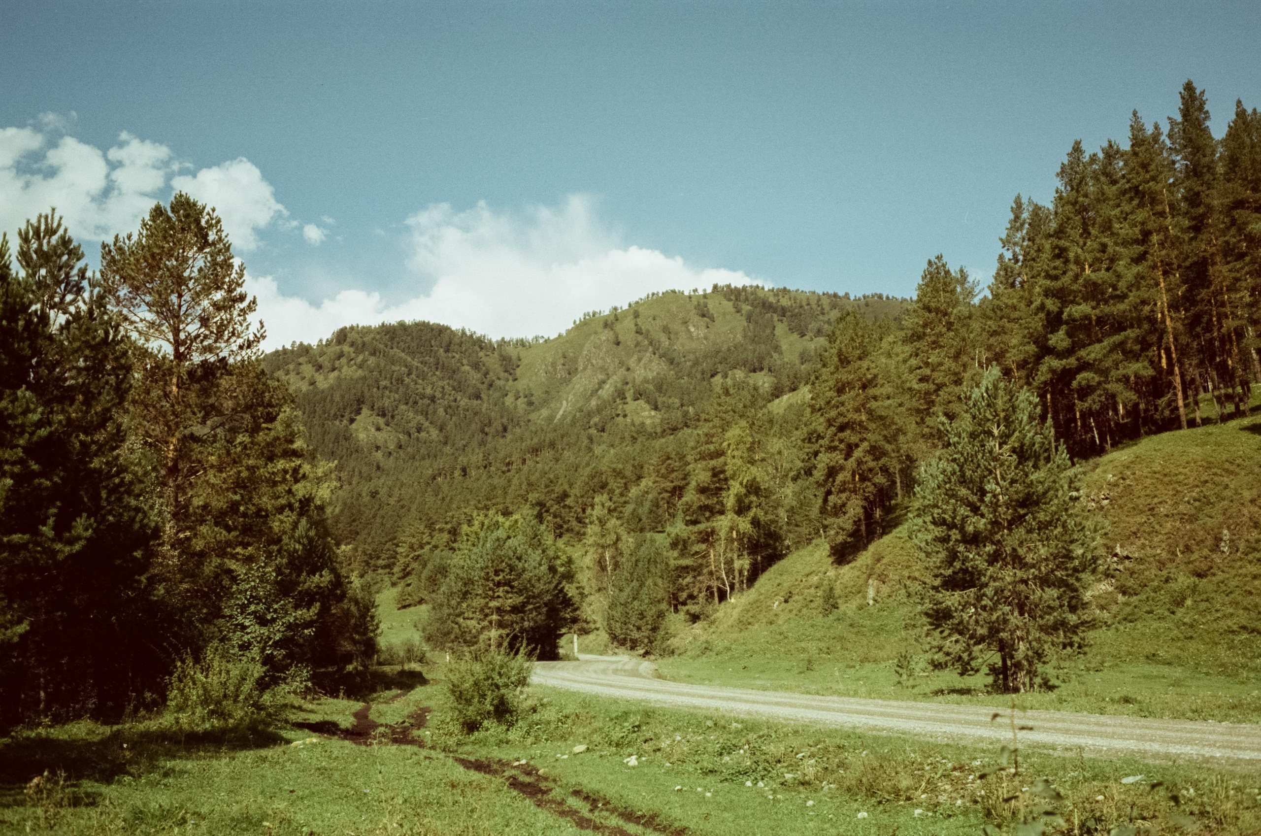 Самые красивые места Чемальского тракта на фотопленку