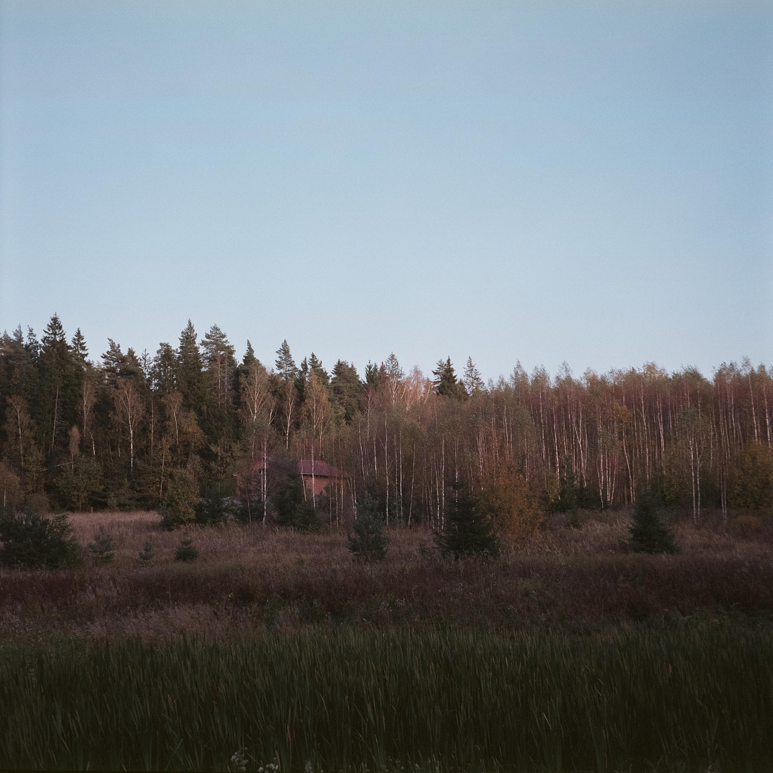 Проверка нового Super Fujica-6 с пленкой Fujifilm NPL 160