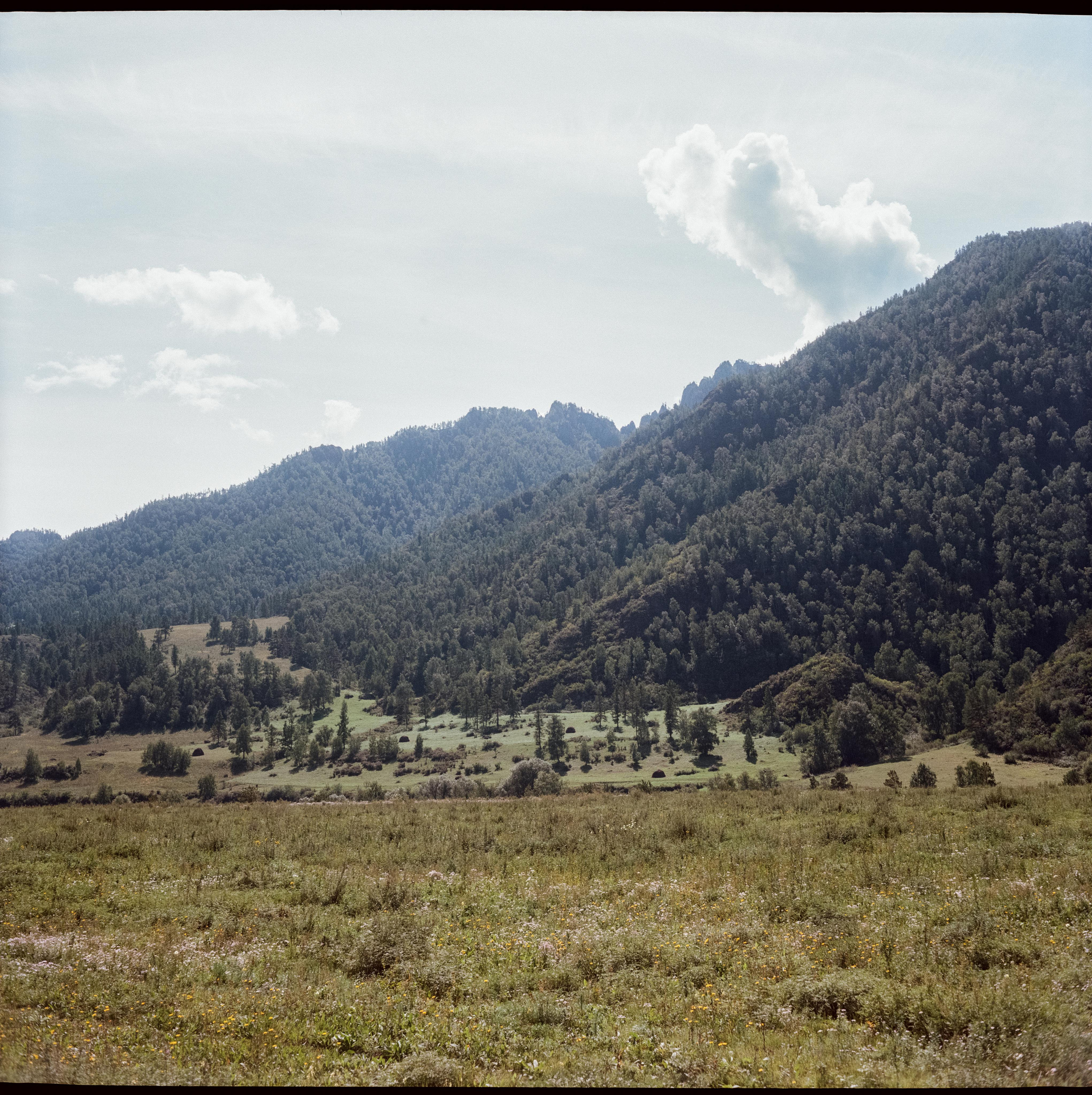 Чемальский тракт на фотопленку