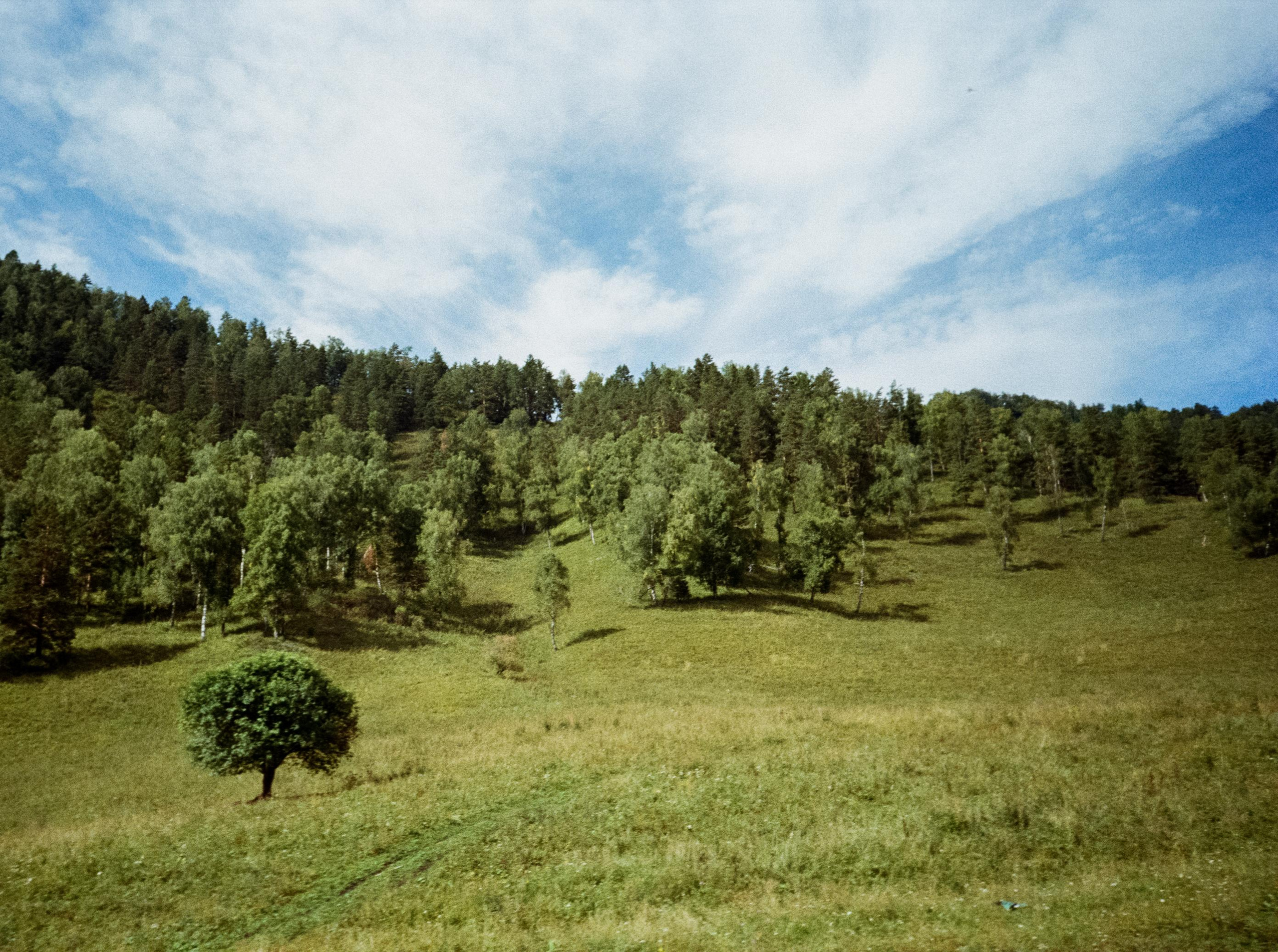 Примеры фотографий Алтай на фотопленку