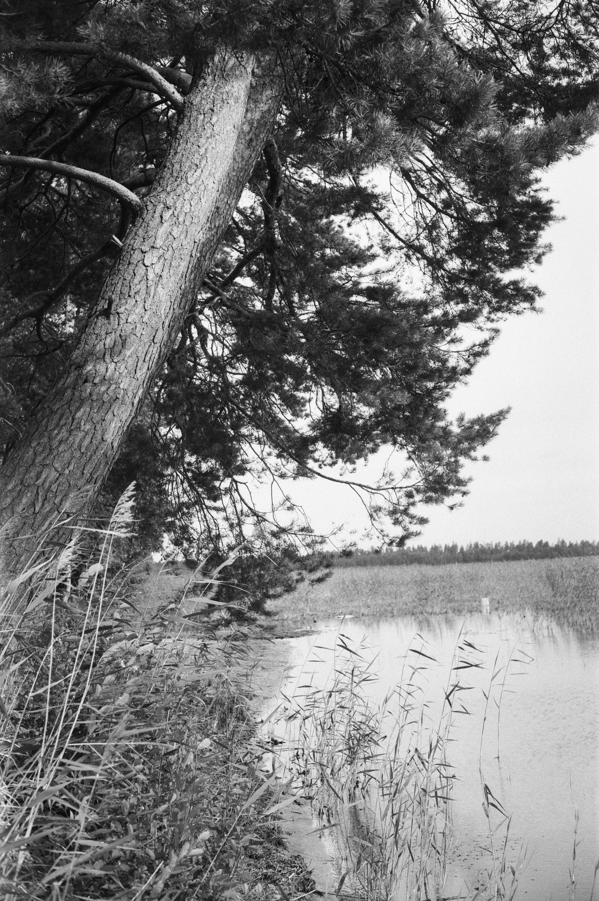Фотосессия у Дубль дома у озера Отрадное (Приозерск)