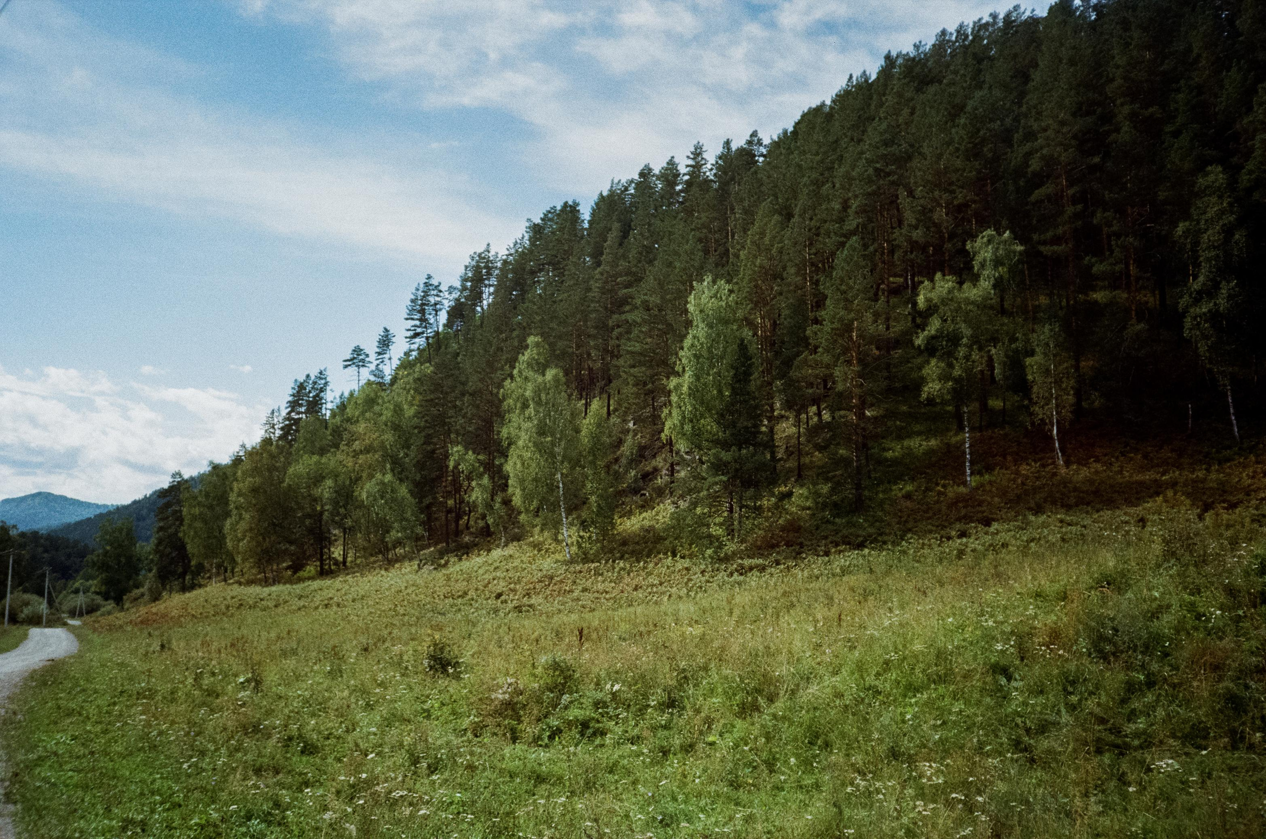 Kodak Gold 200 Алтай