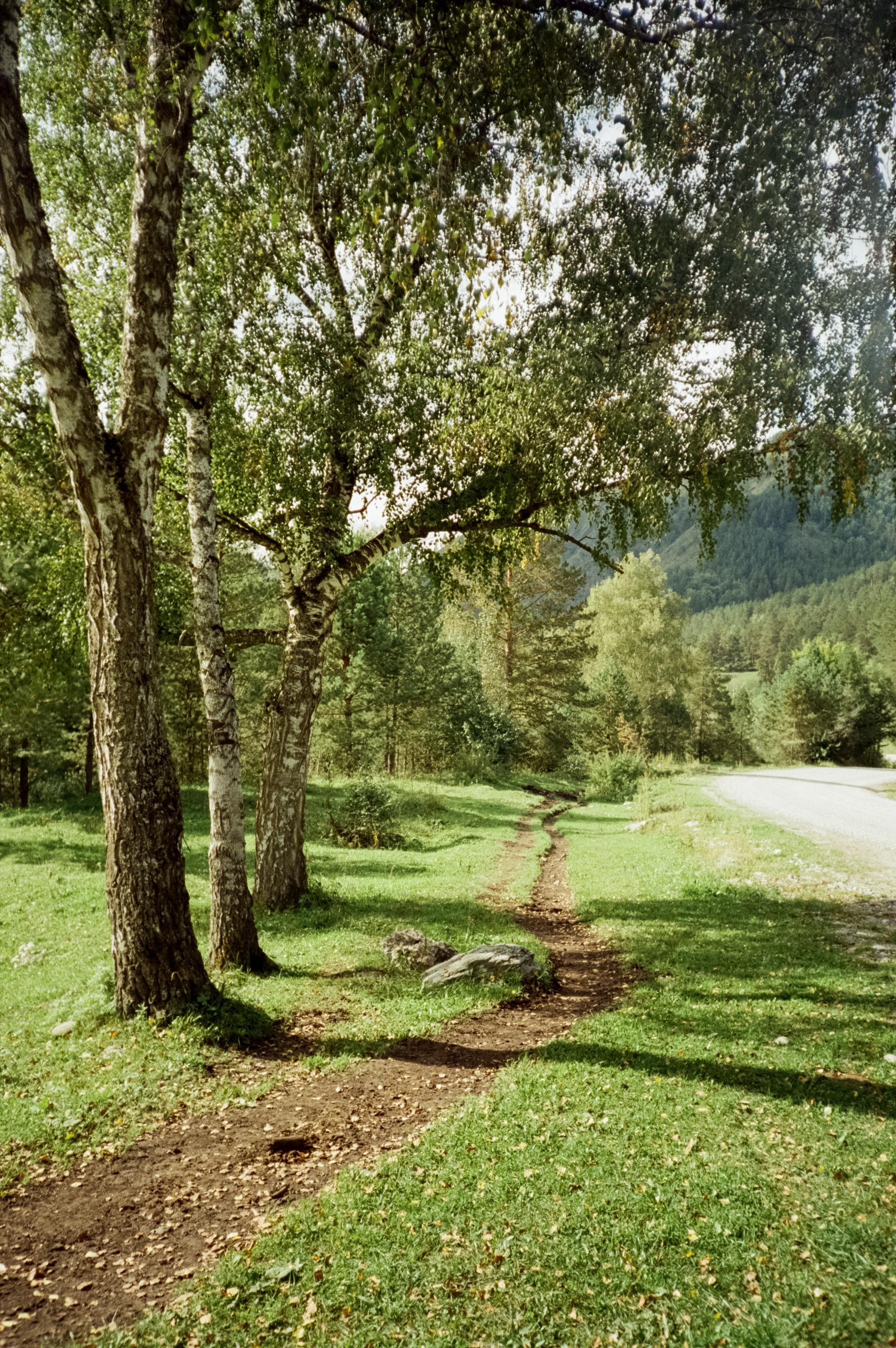 Пример фотографии Canon 11 