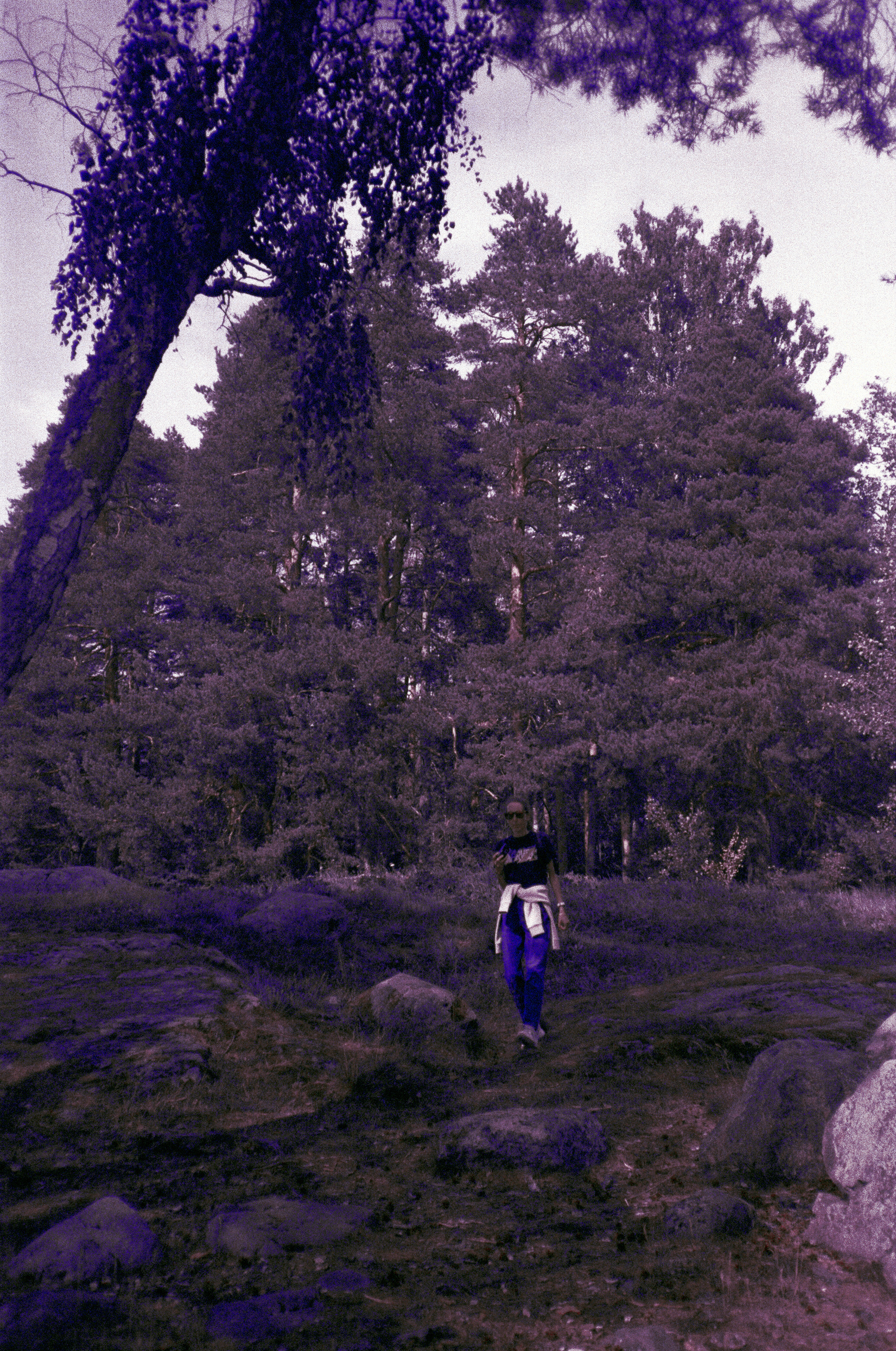 Фотография на просроченную пленку Konica Centuria 400