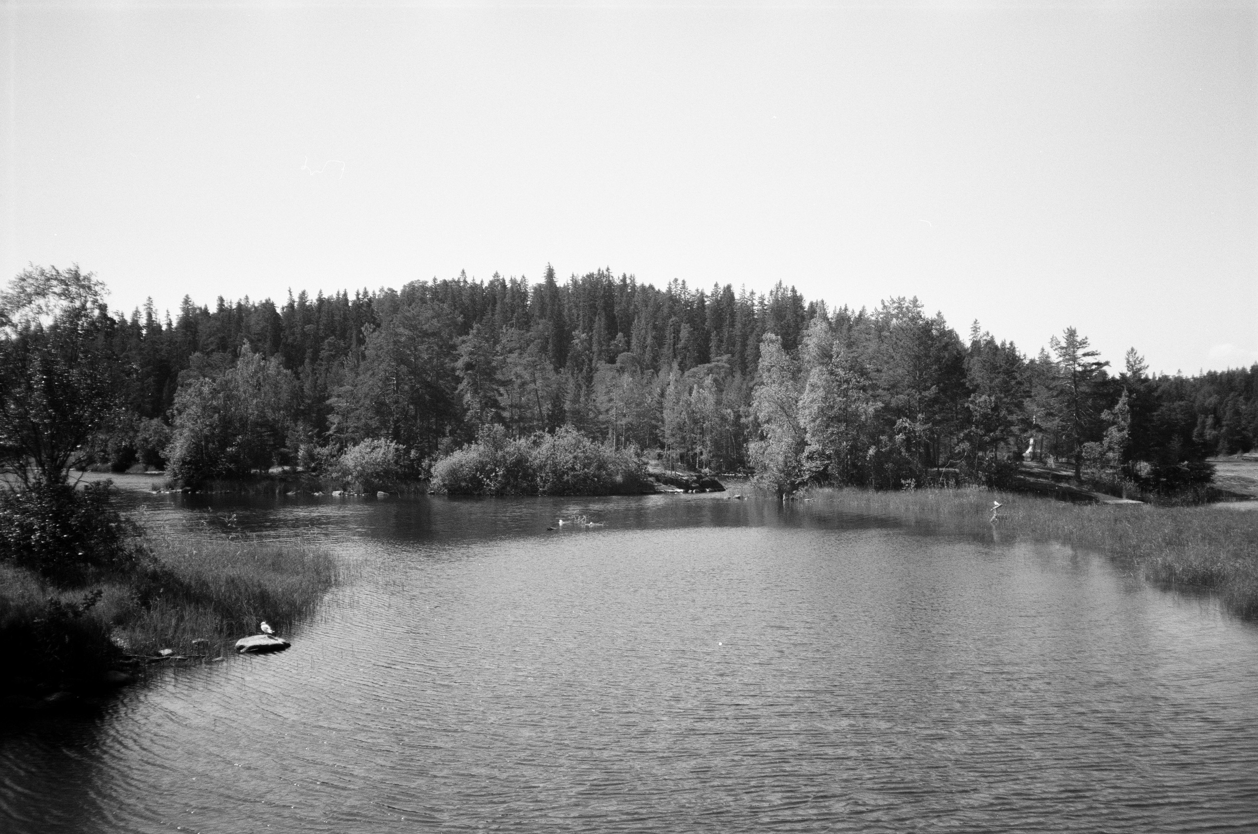 Поездка на метеоре на остров Валаам