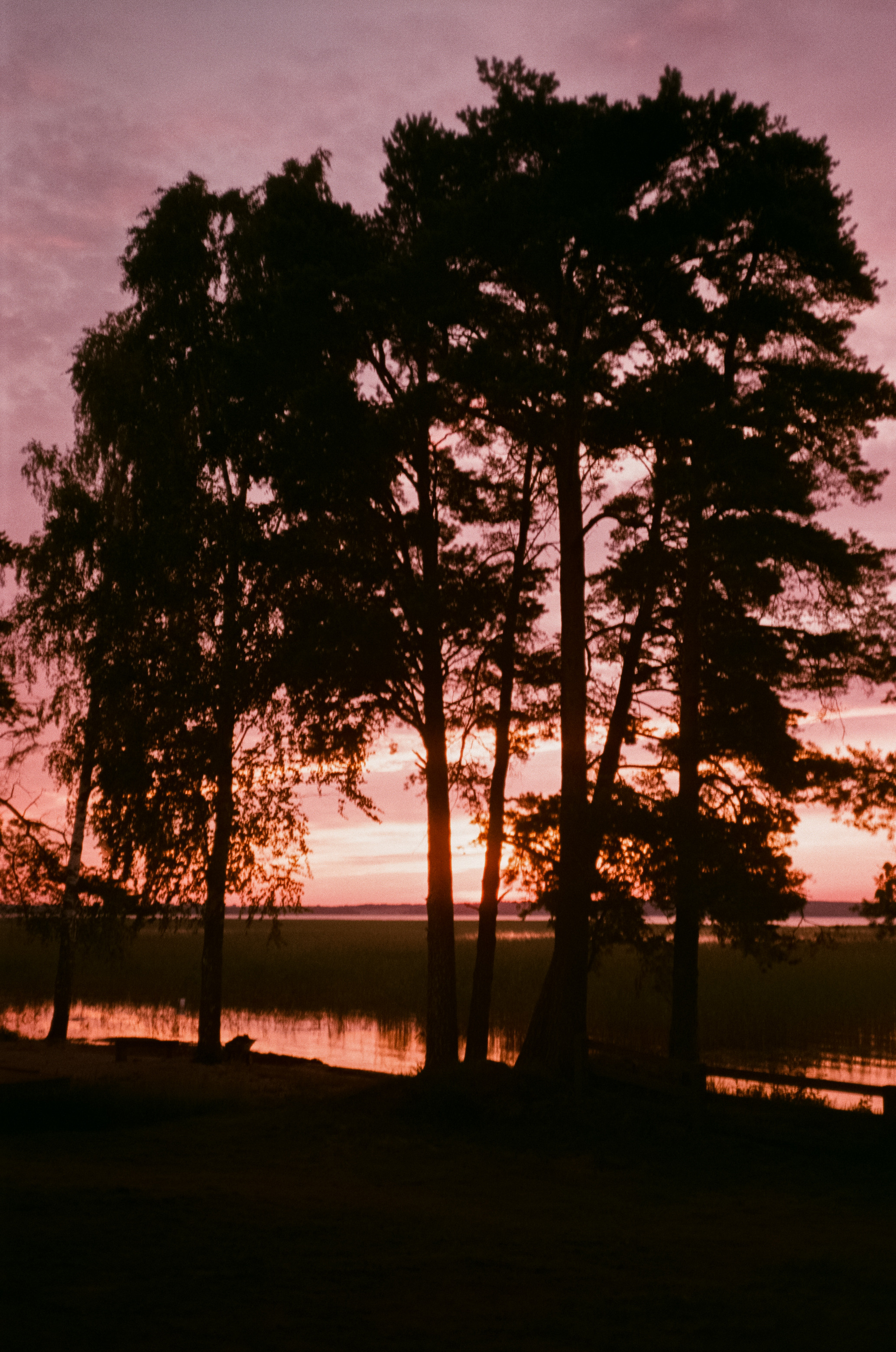 Снимаем восходы на просроченную пленку Konica Centuria 400