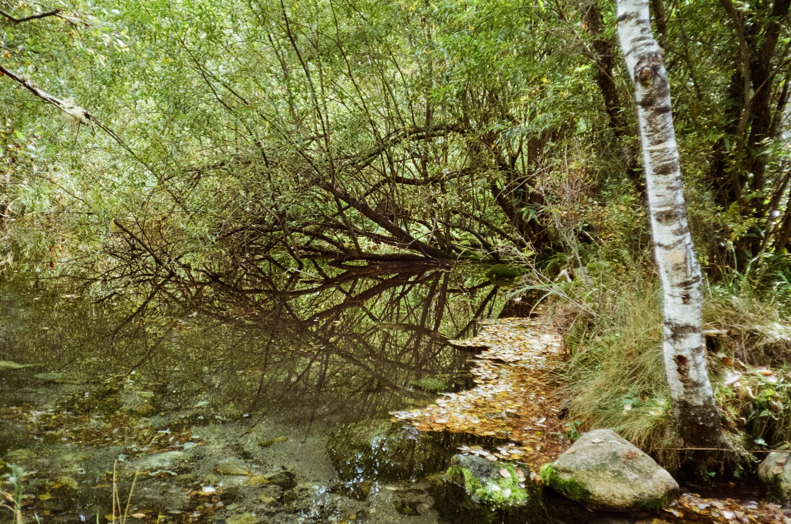 Алтай на фотопленку