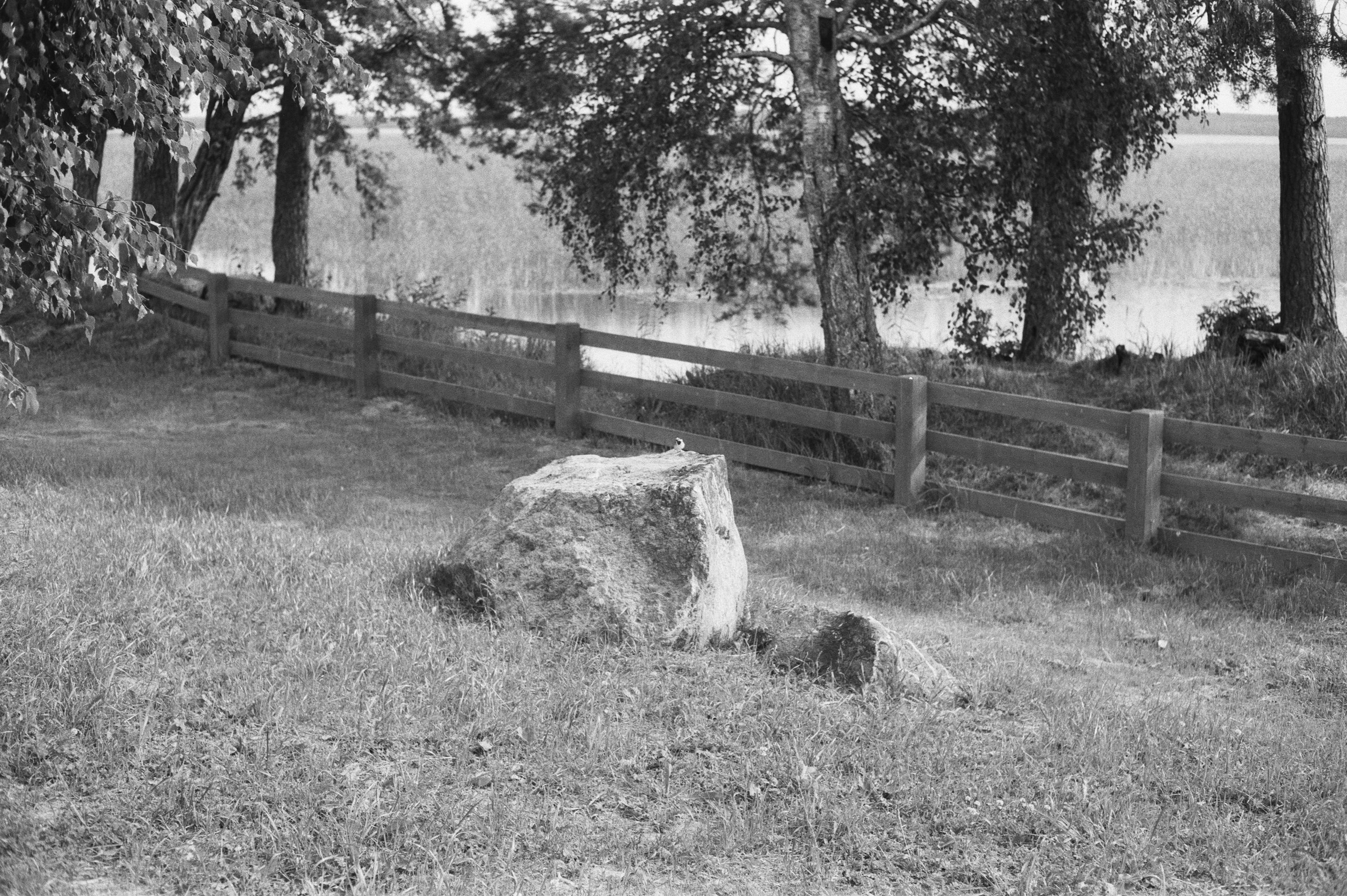 Фотосессия у Дубль дома у озера Отрадное (Приозерск)