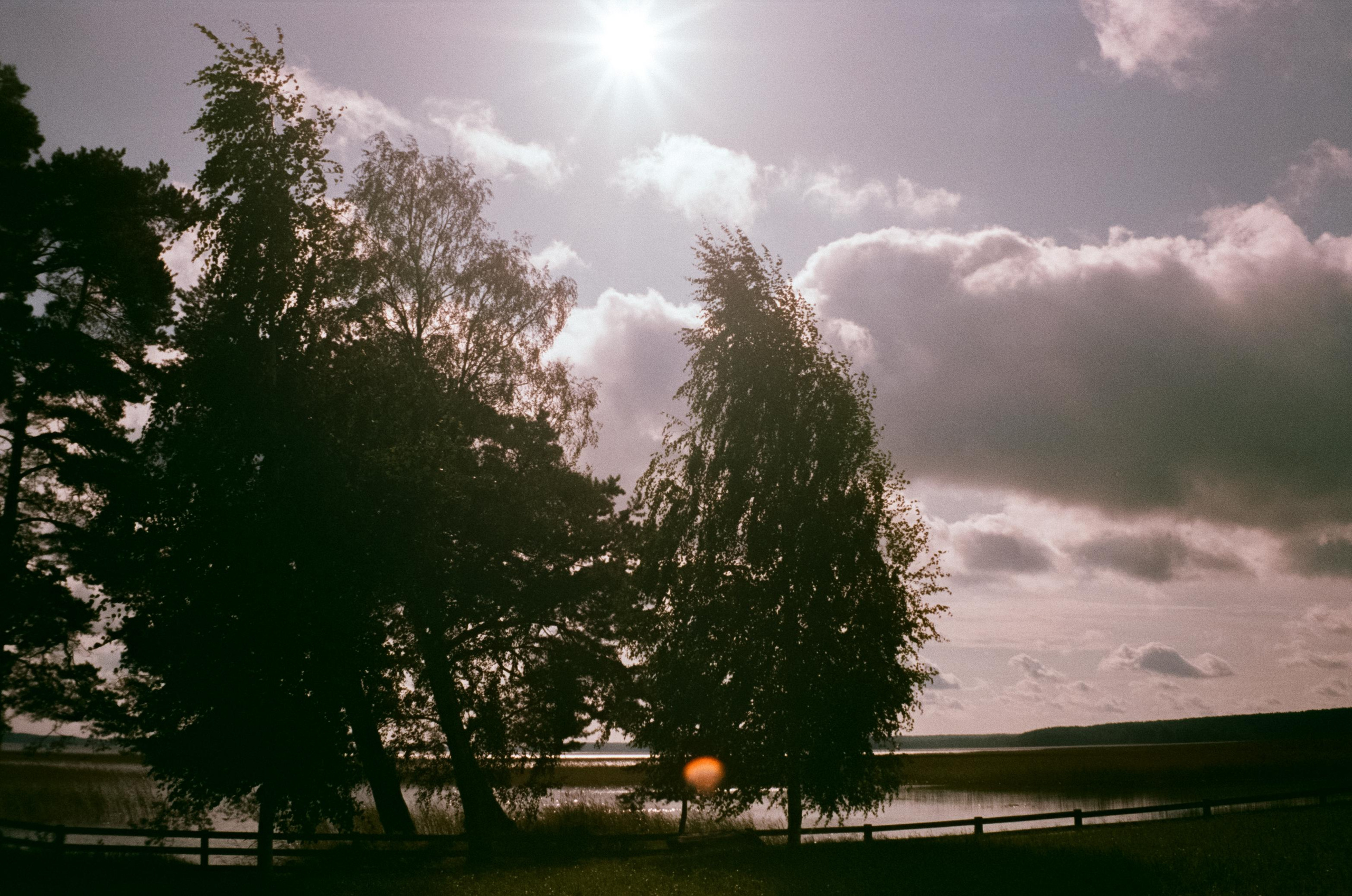 Озеро Отрадное, снятое на просроченную пленку