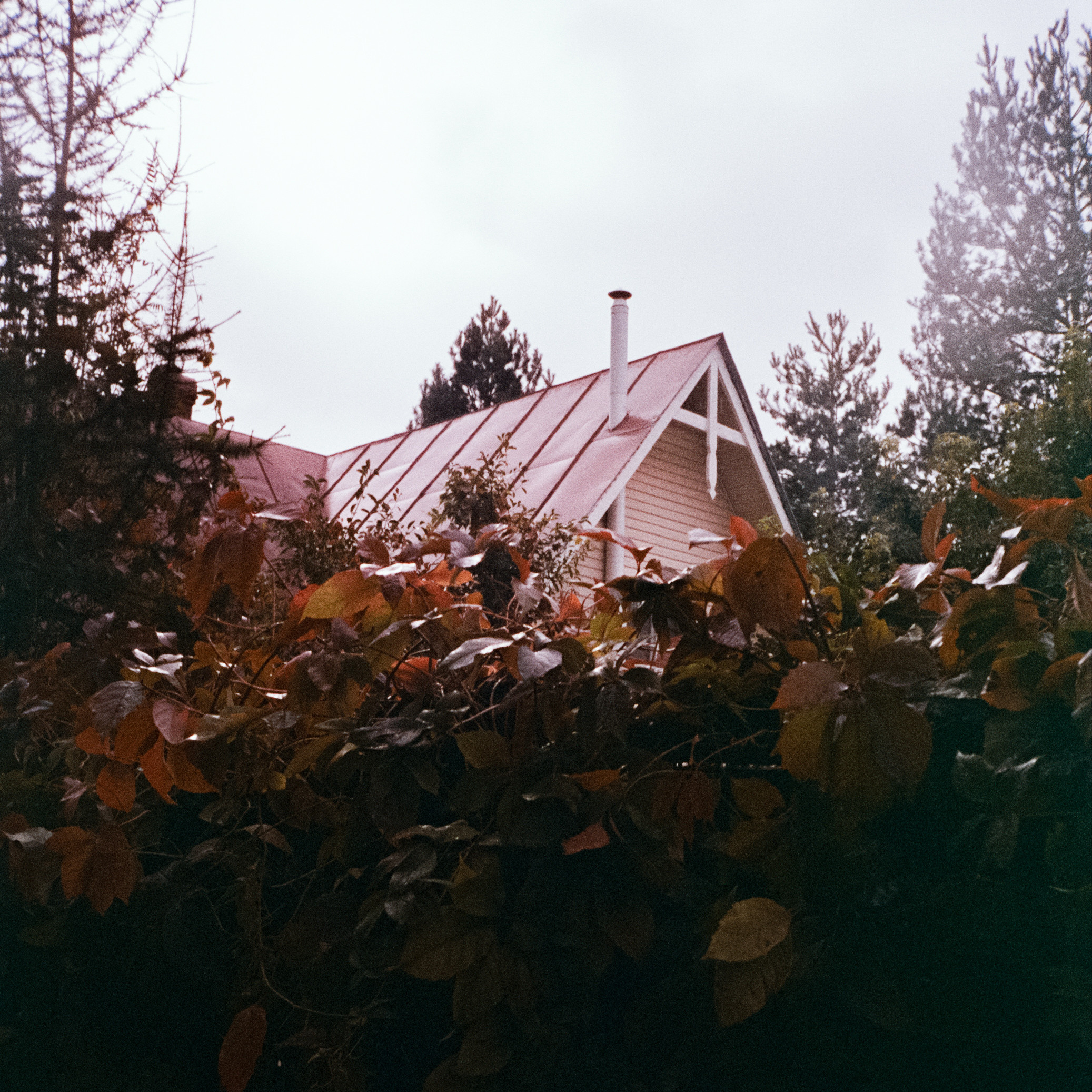 Fuji Work Record 28 мм / Konica Centuria Super 400 / Давыдовское