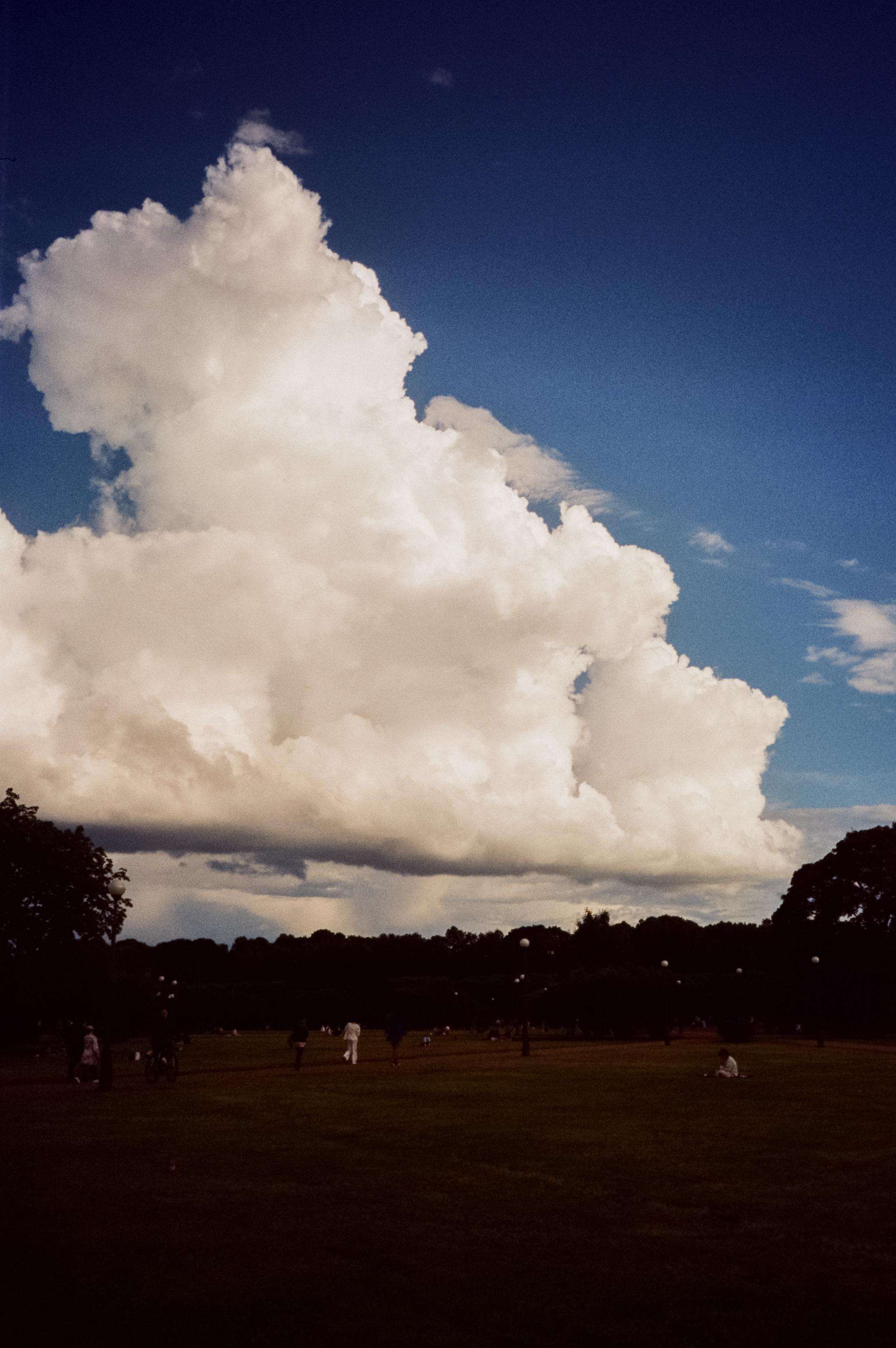 Контрастные цвета Питера на Kodak Vision 3 250D