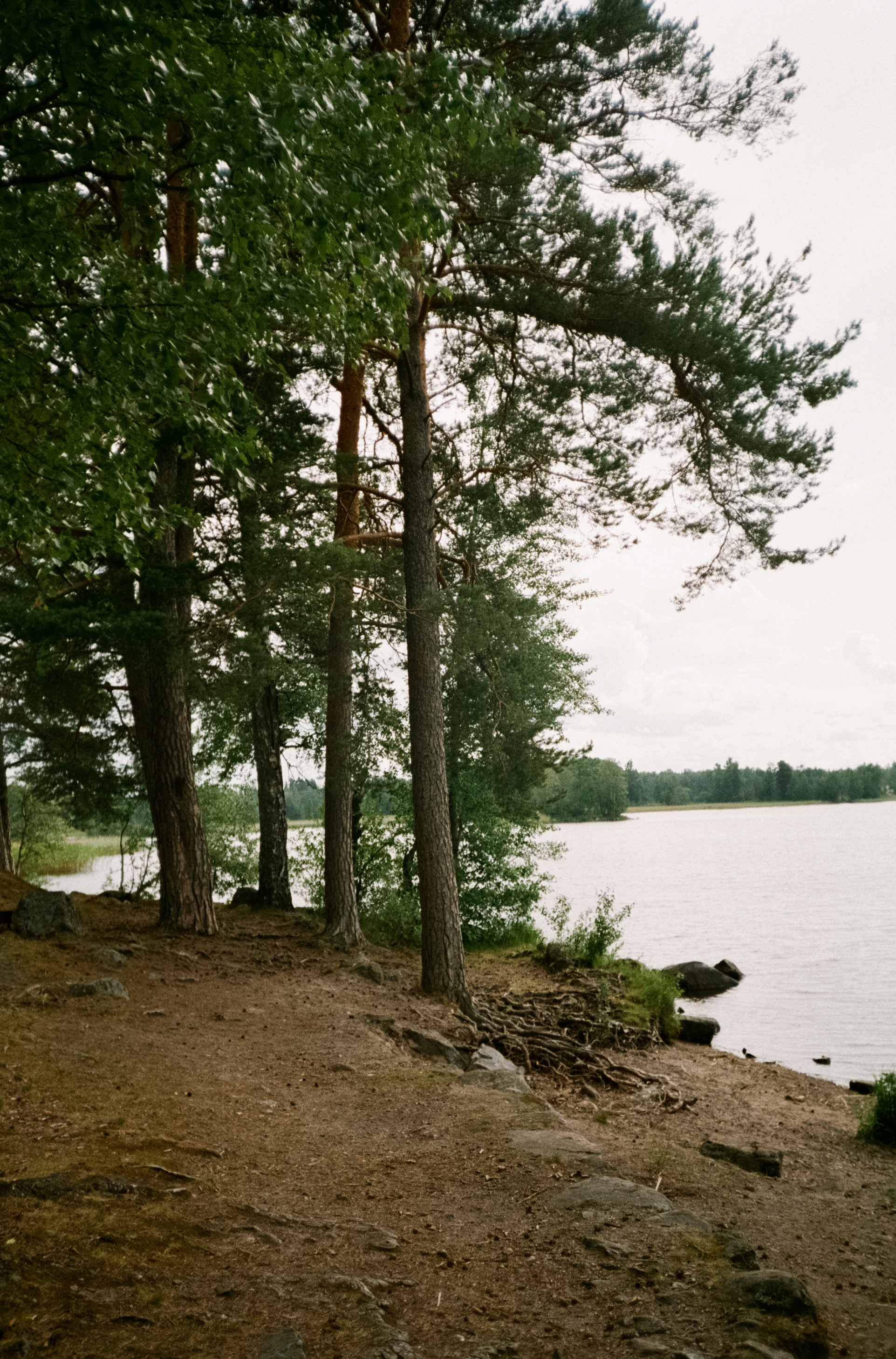 Остров Валаам и остров Каменистый на Cinestill 400D