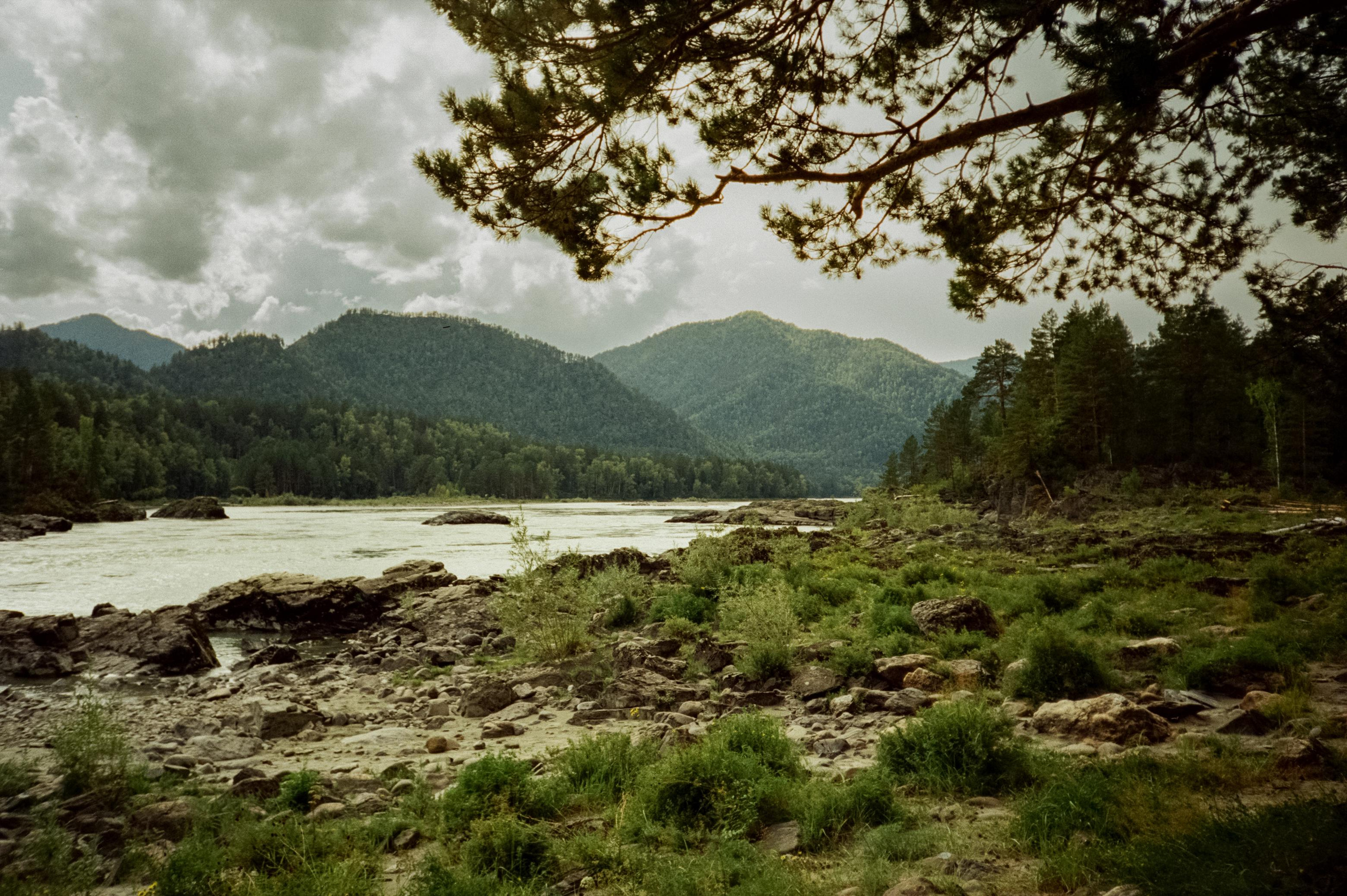 Пример фотографии на пленку Kodak Vision 3 250D