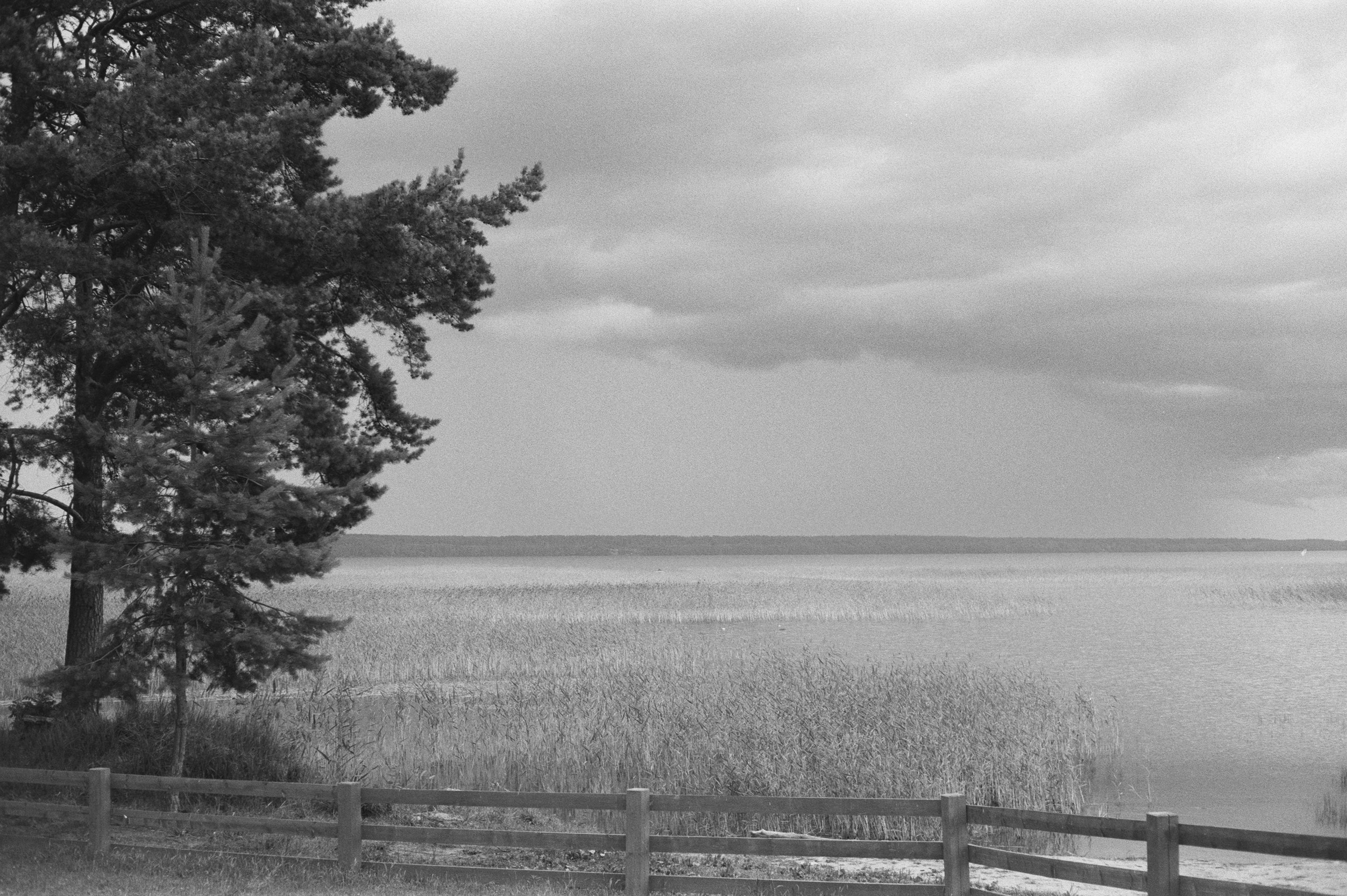 Фотосессия у Дубль дома у озера Отрадное (Приозерск)