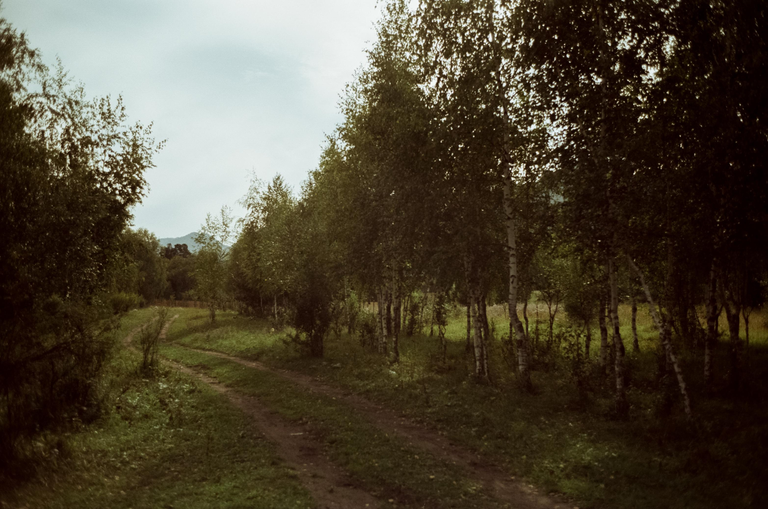 Зубы Дракона, Чемальский тракт