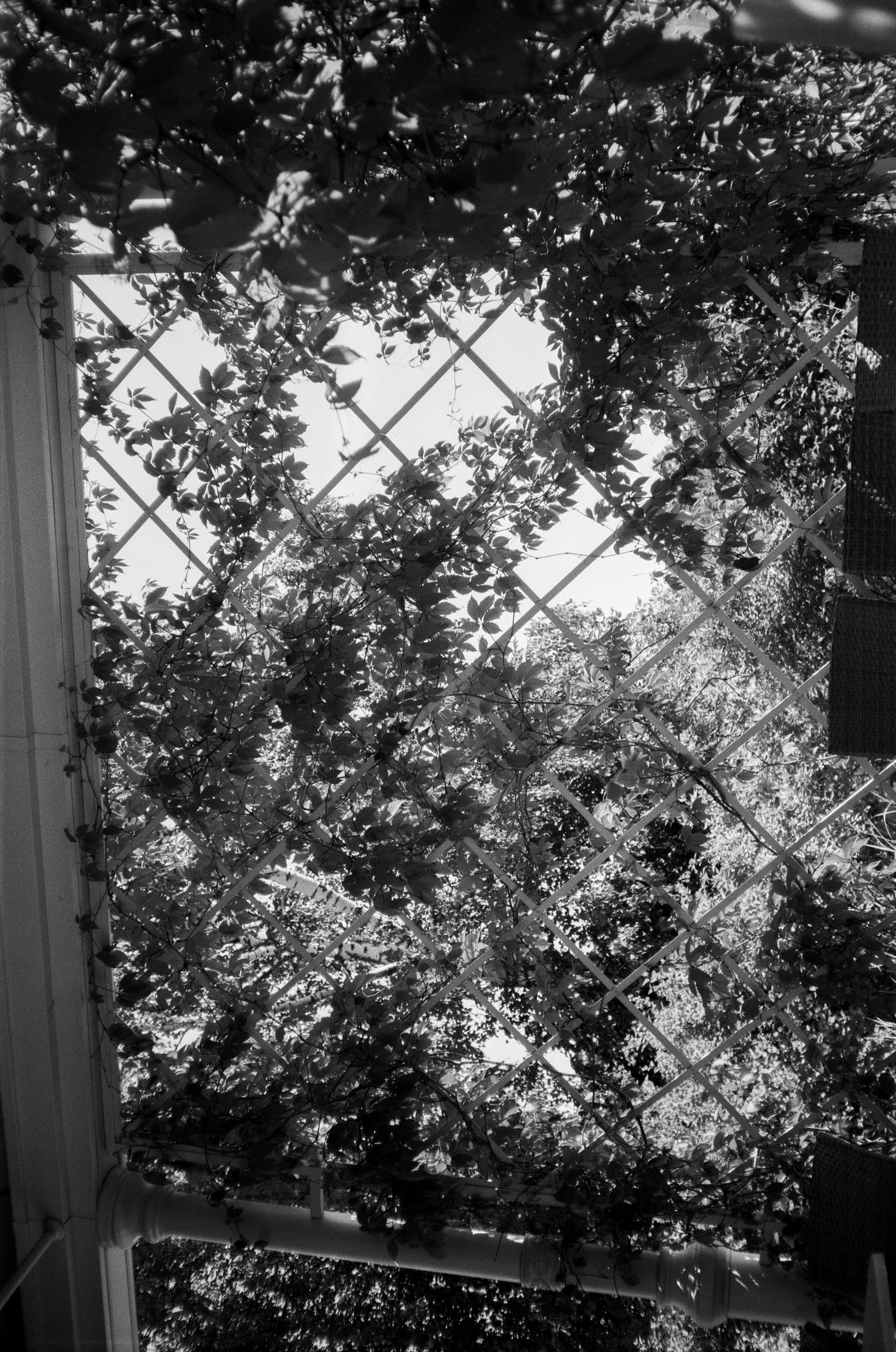 Поездка на метеоре на остров Валаам