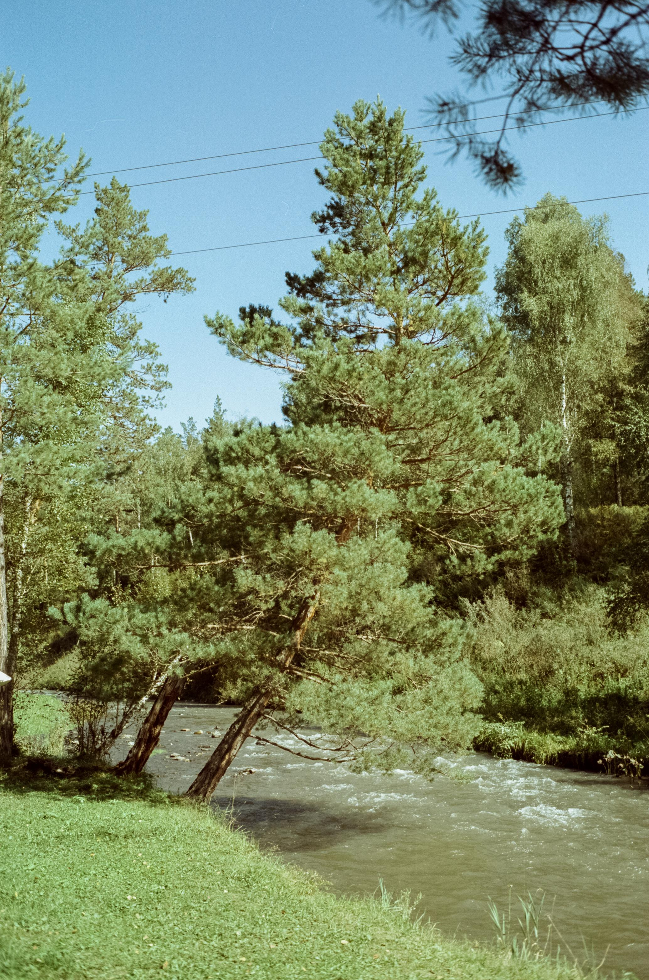 Самые красивые места Чемальского тракта на фотопленку