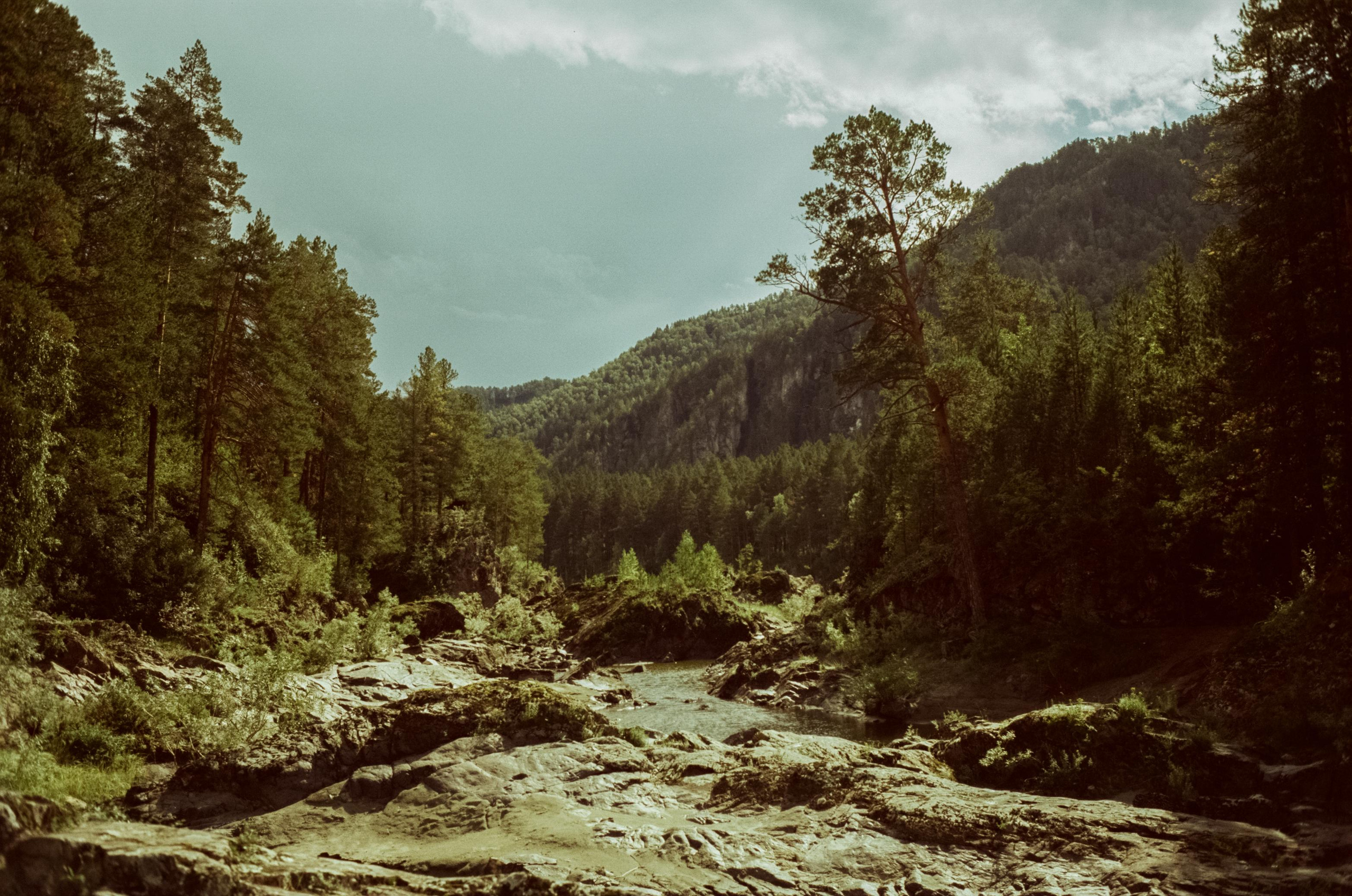 Самые красивые места Чемальского тракта на фотопленку
