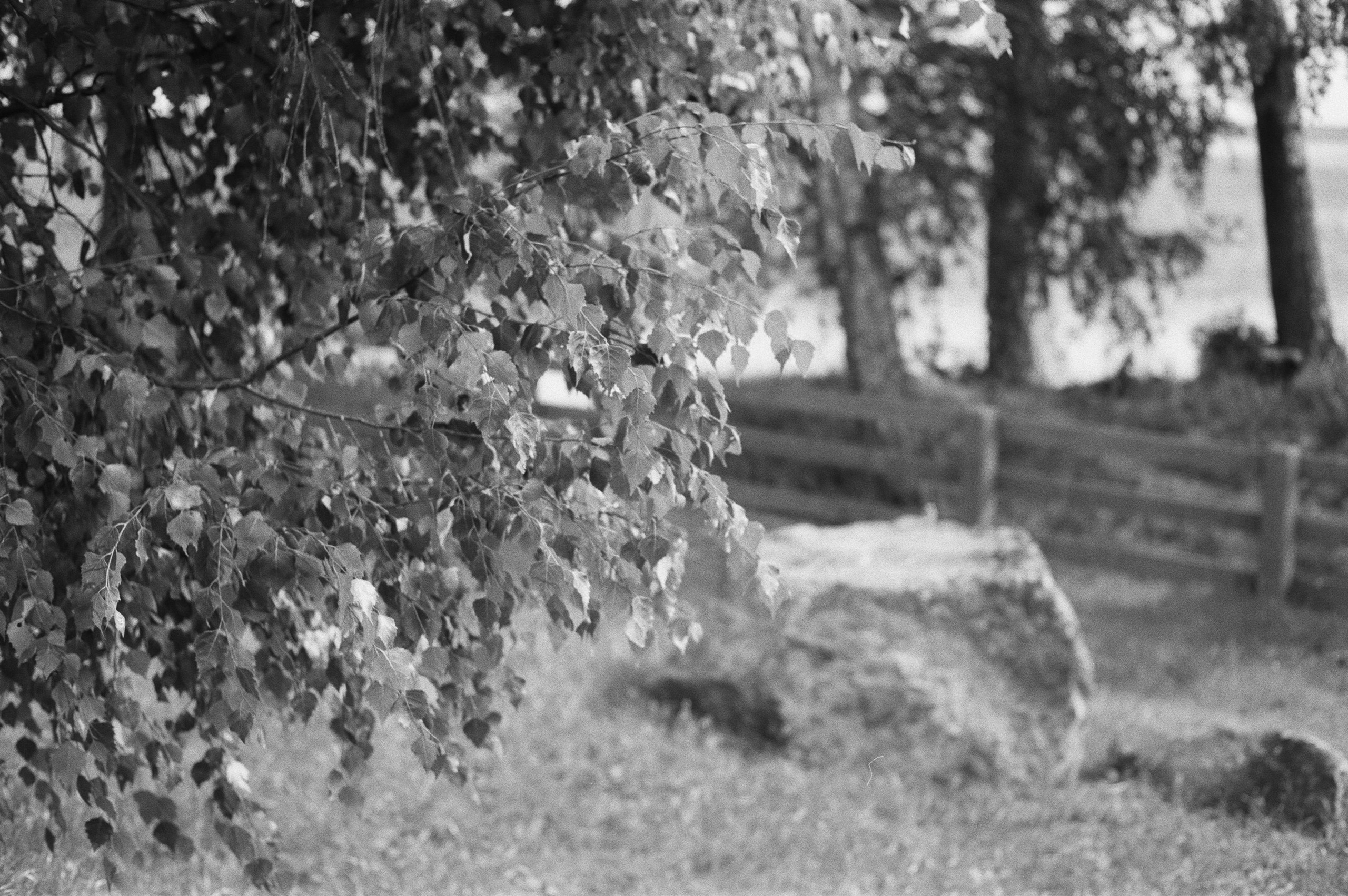 Фотосессия у Дубль дома у озера Отрадное (Приозерск)