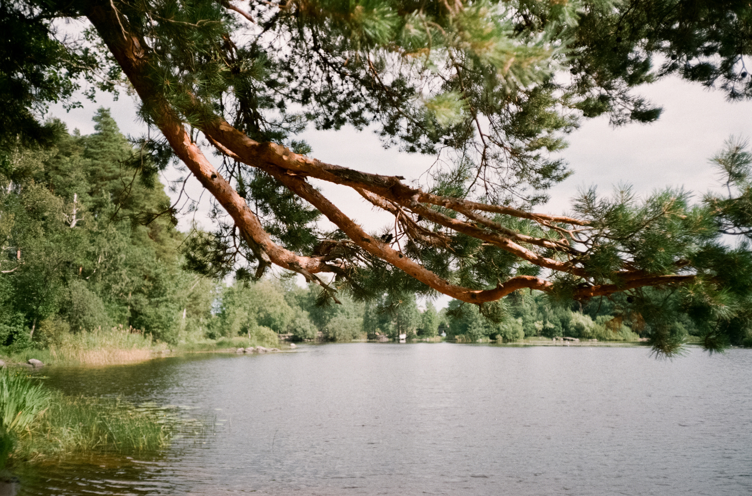 Отпуск в Ленинградской области (Приозерск) и Карелии