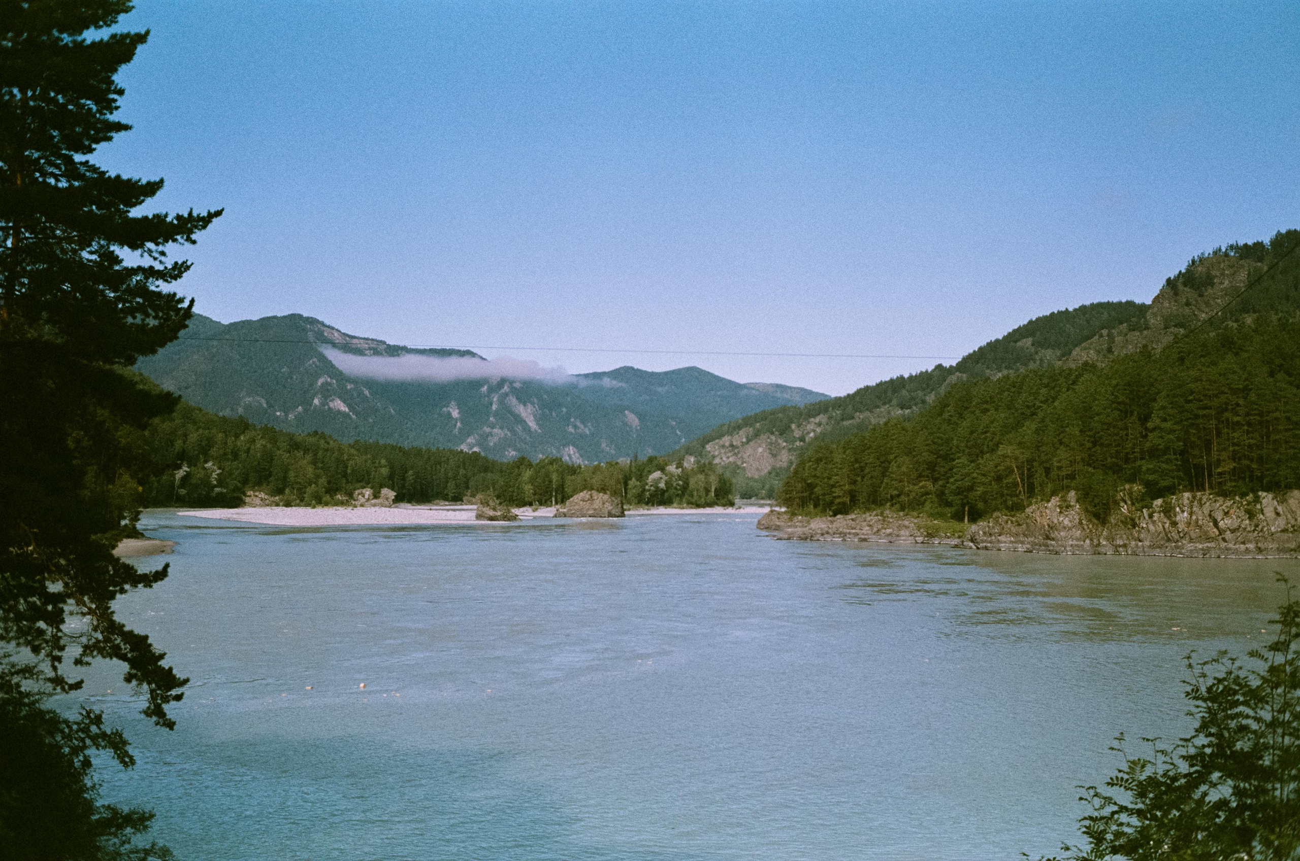 Contax G1 Green Label