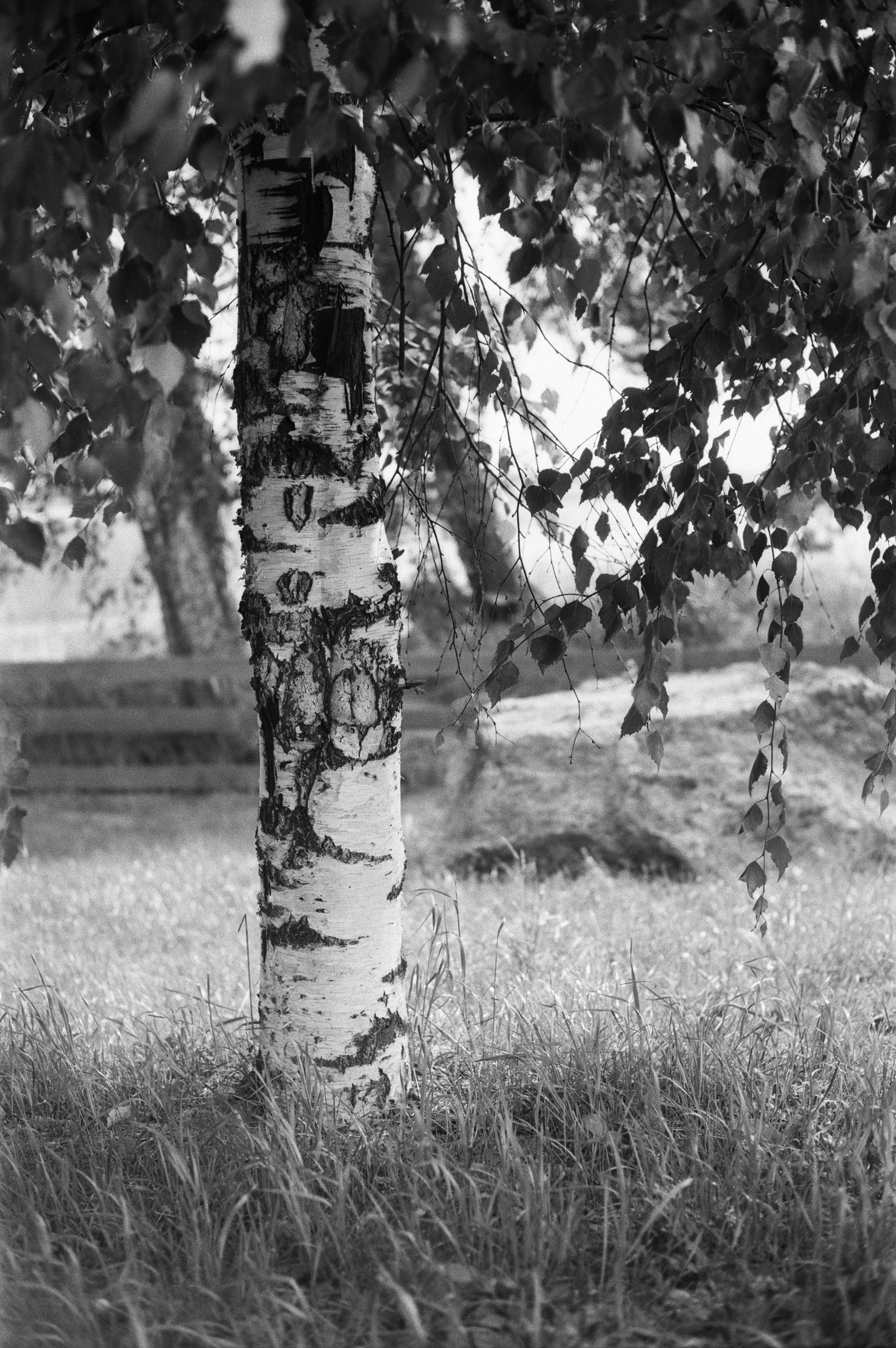 Фотосессия у Дубль дома у озера Отрадное (Приозерск)