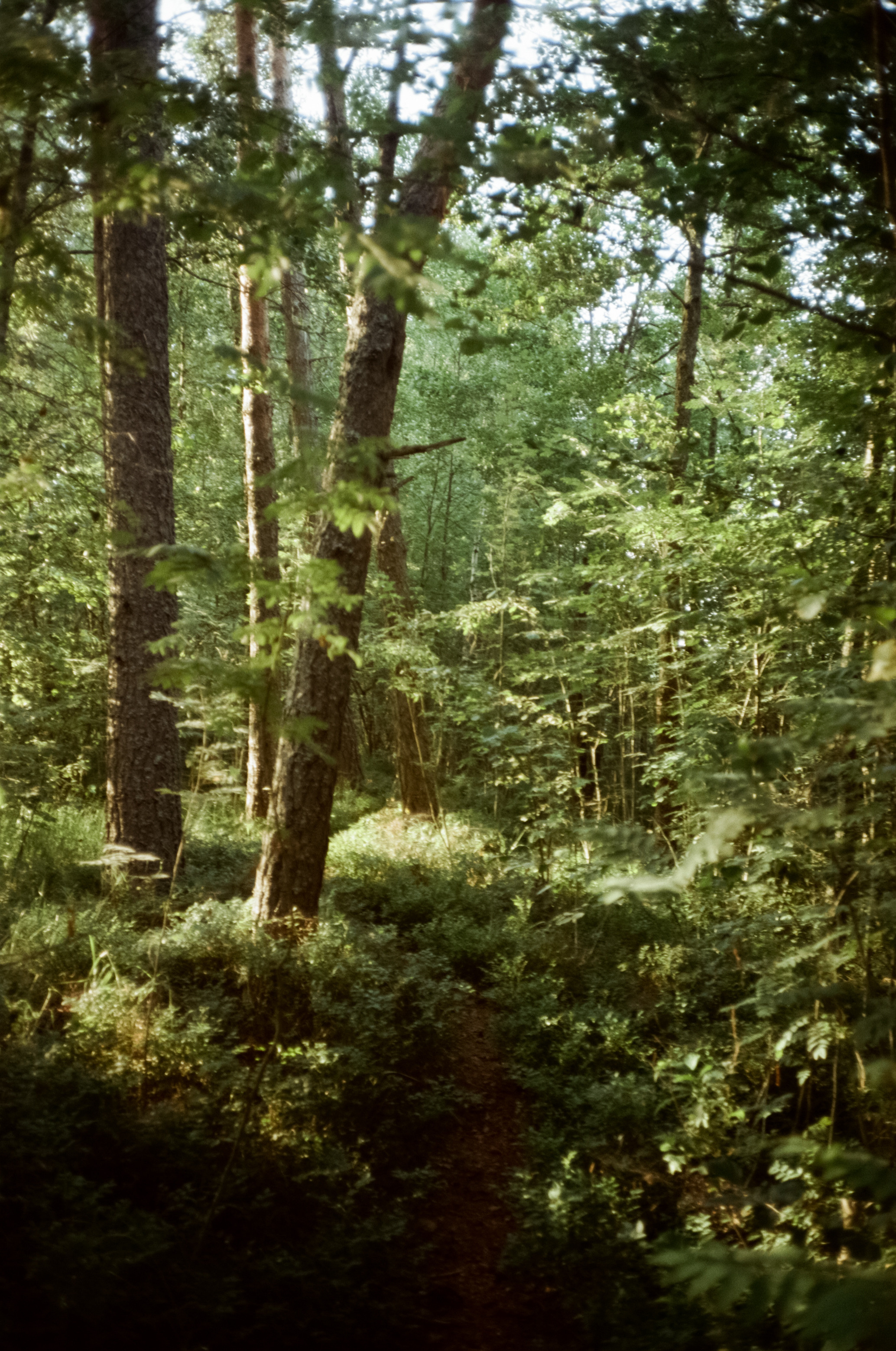 Дубль Дом — Приозерск, озеро Отрадное, первый день