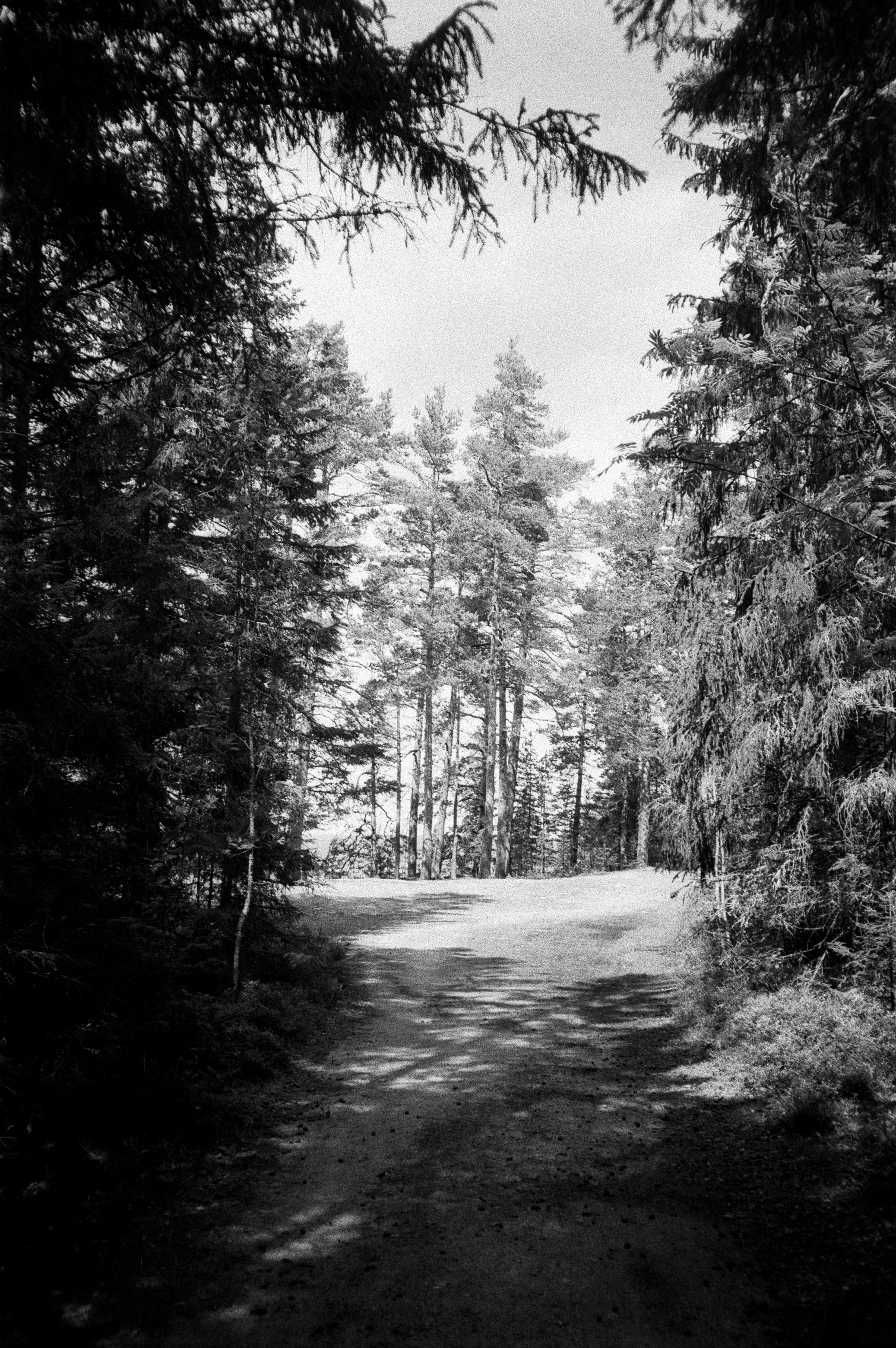 Остров Коневец на черно-белую пленку