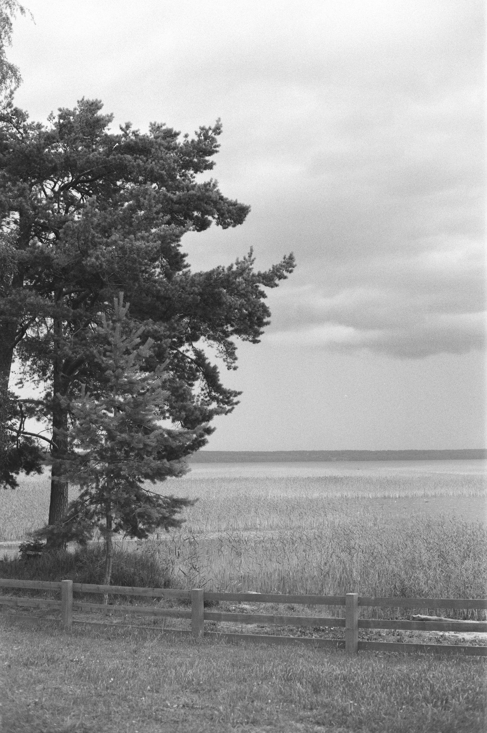 Фотосессия у Дубль дома у озера Отрадное (Приозерск)