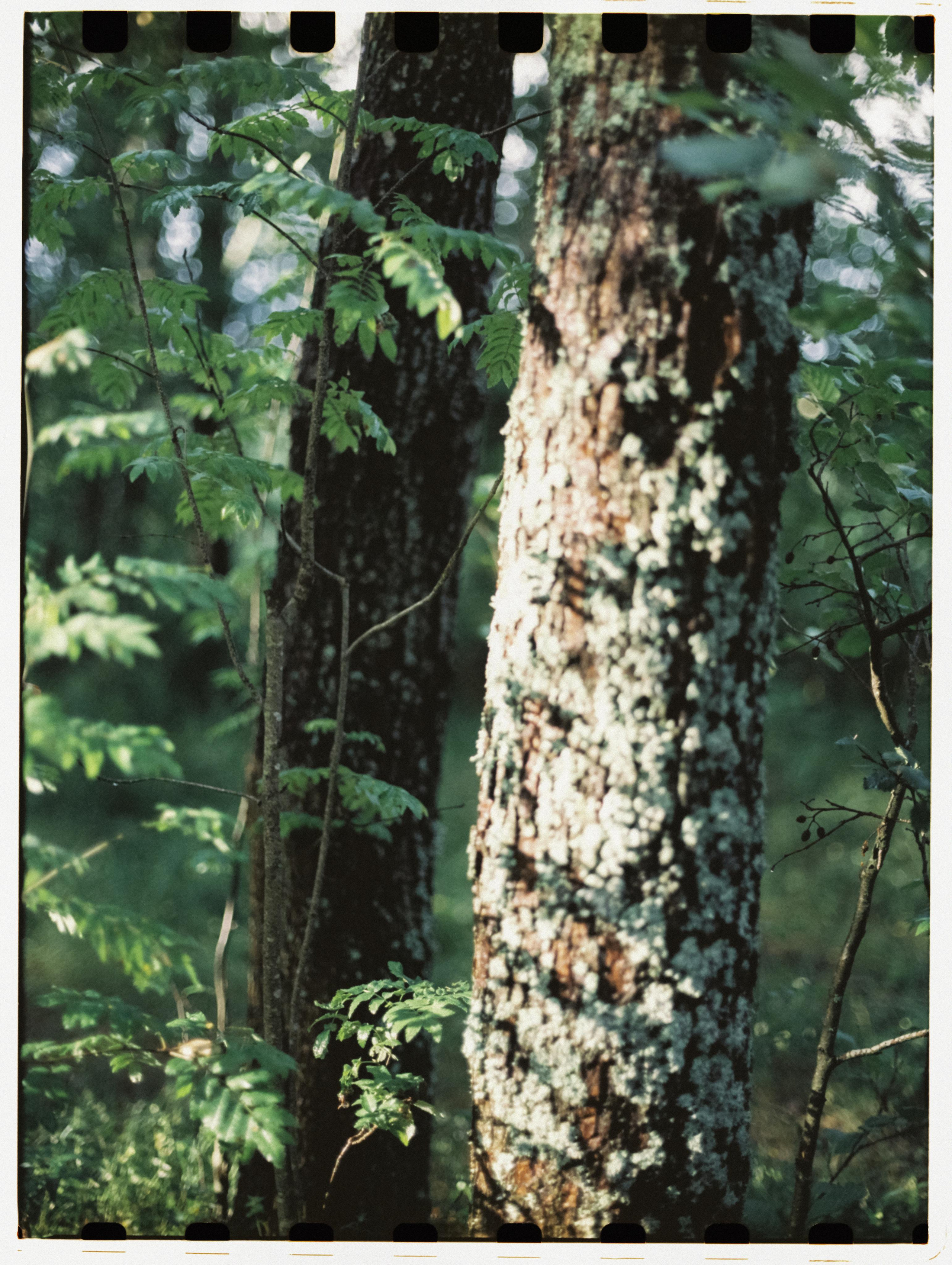 Эксперименты с кинопленкой для искусственного освещения днем