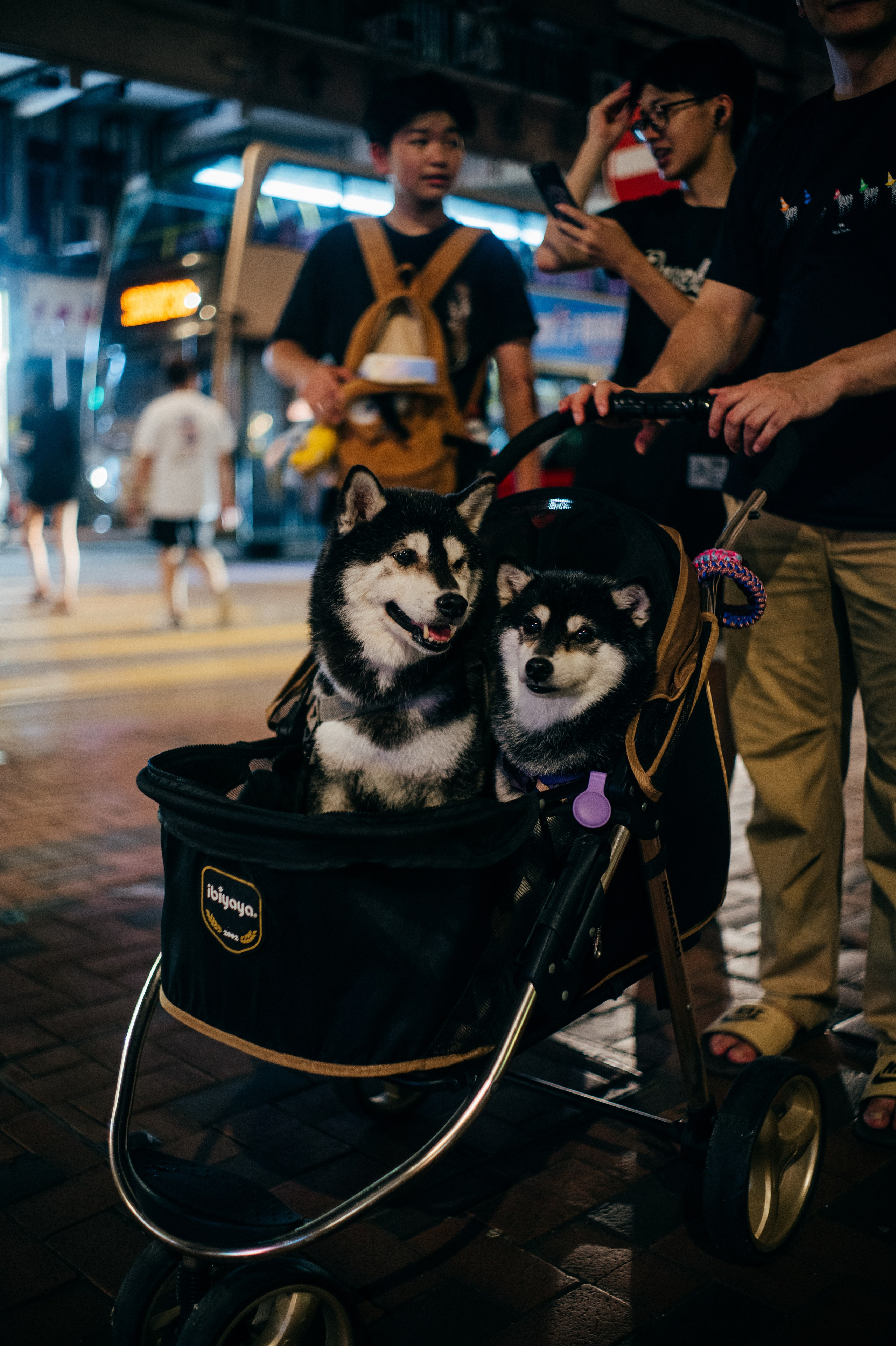 ГОНКОНГ. Создание контента | Фото | Видеосъемка | Александр Ярков