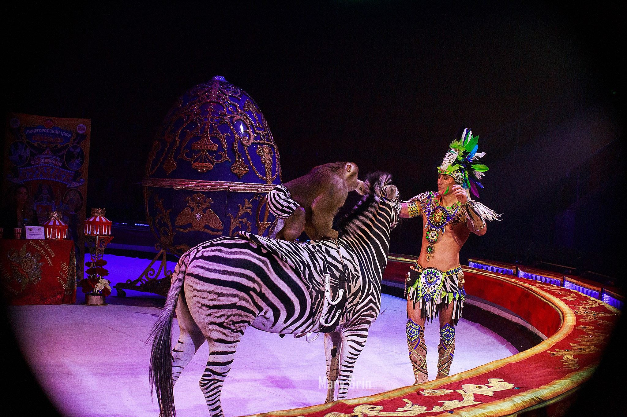 Цирк Гии Эрадзе. Детский и семейный фотограф, фотограф мероприятий Нижний Новгород