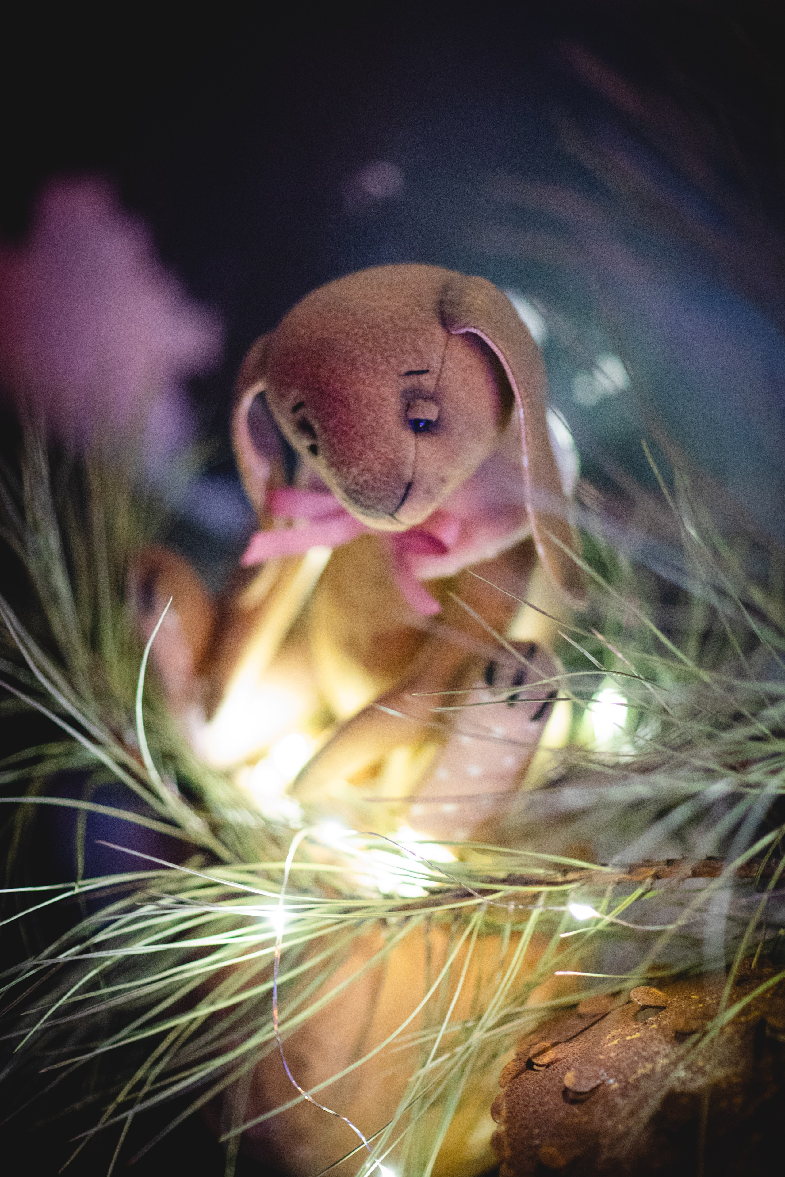 МАРТ-лавка красивых вещей). Семейный фотограф в Москве Анастасия Гурьянова