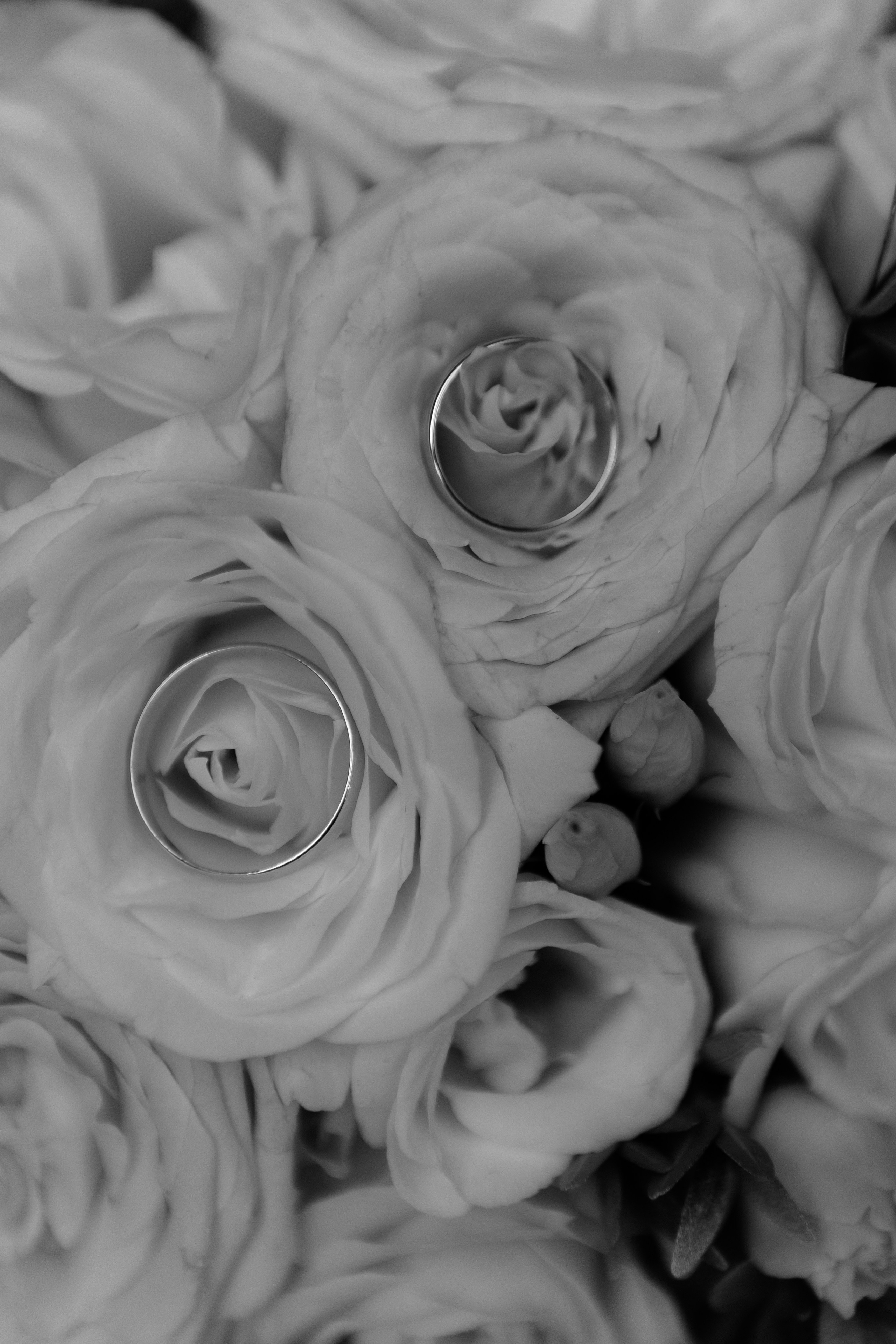 Свадьба Вадима и Дарьи. Фотограф Кольчугино/Владимир/Москва Елизавета Иода