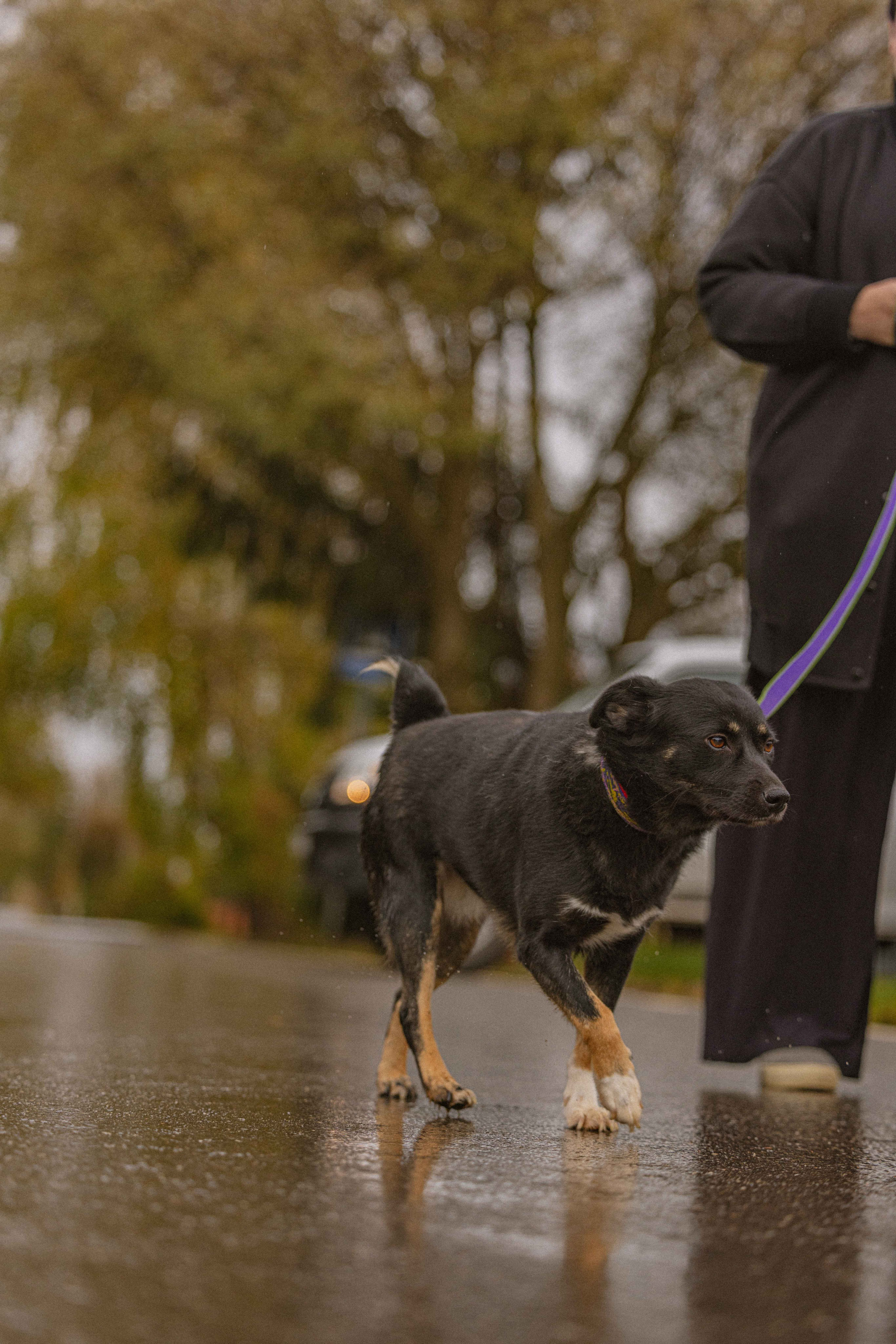 Передержка. Фотограф-анималист в Москве Лера Черноног