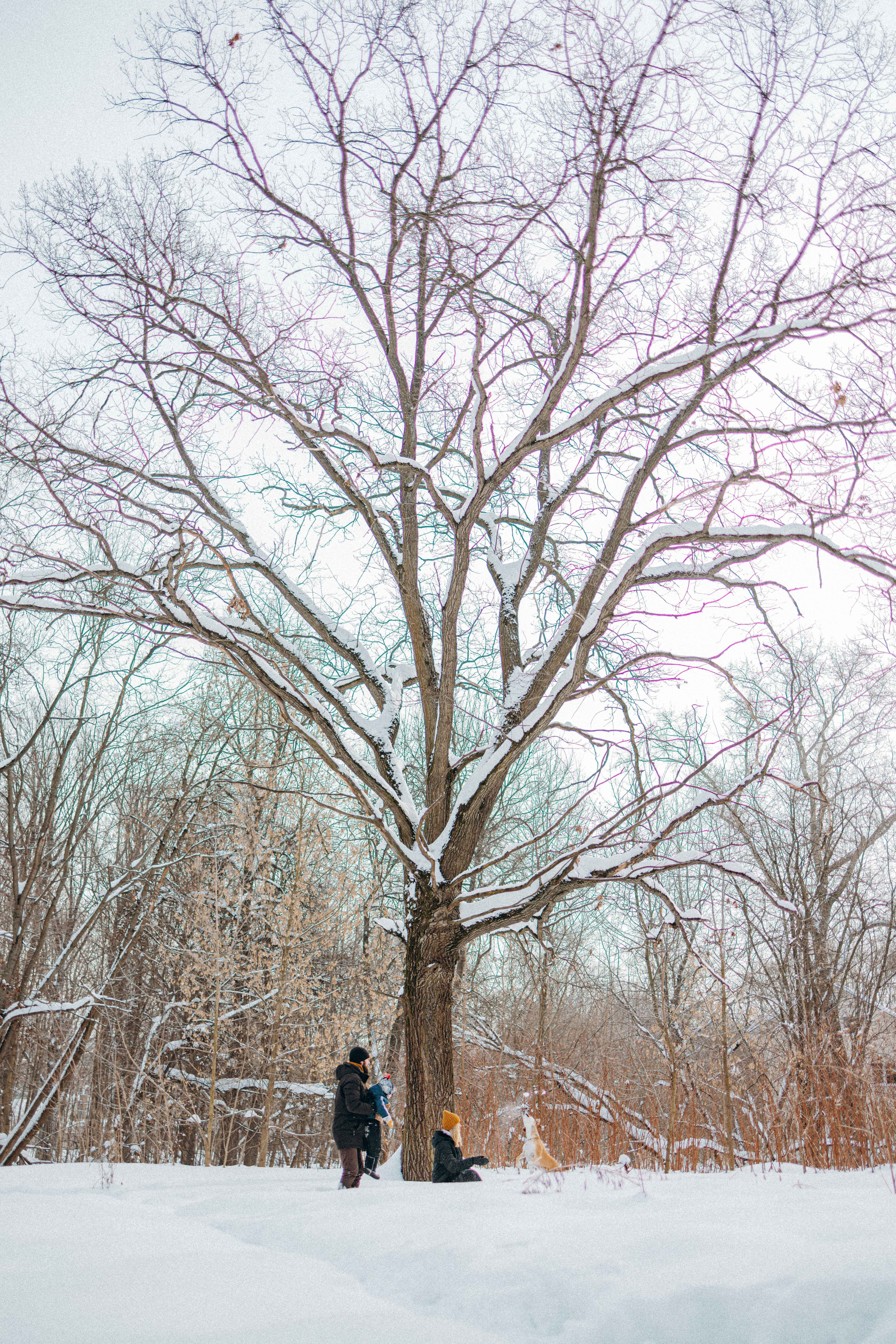 Свобода и ее семья. Фотограф-анималист в Москве Лера Черноног