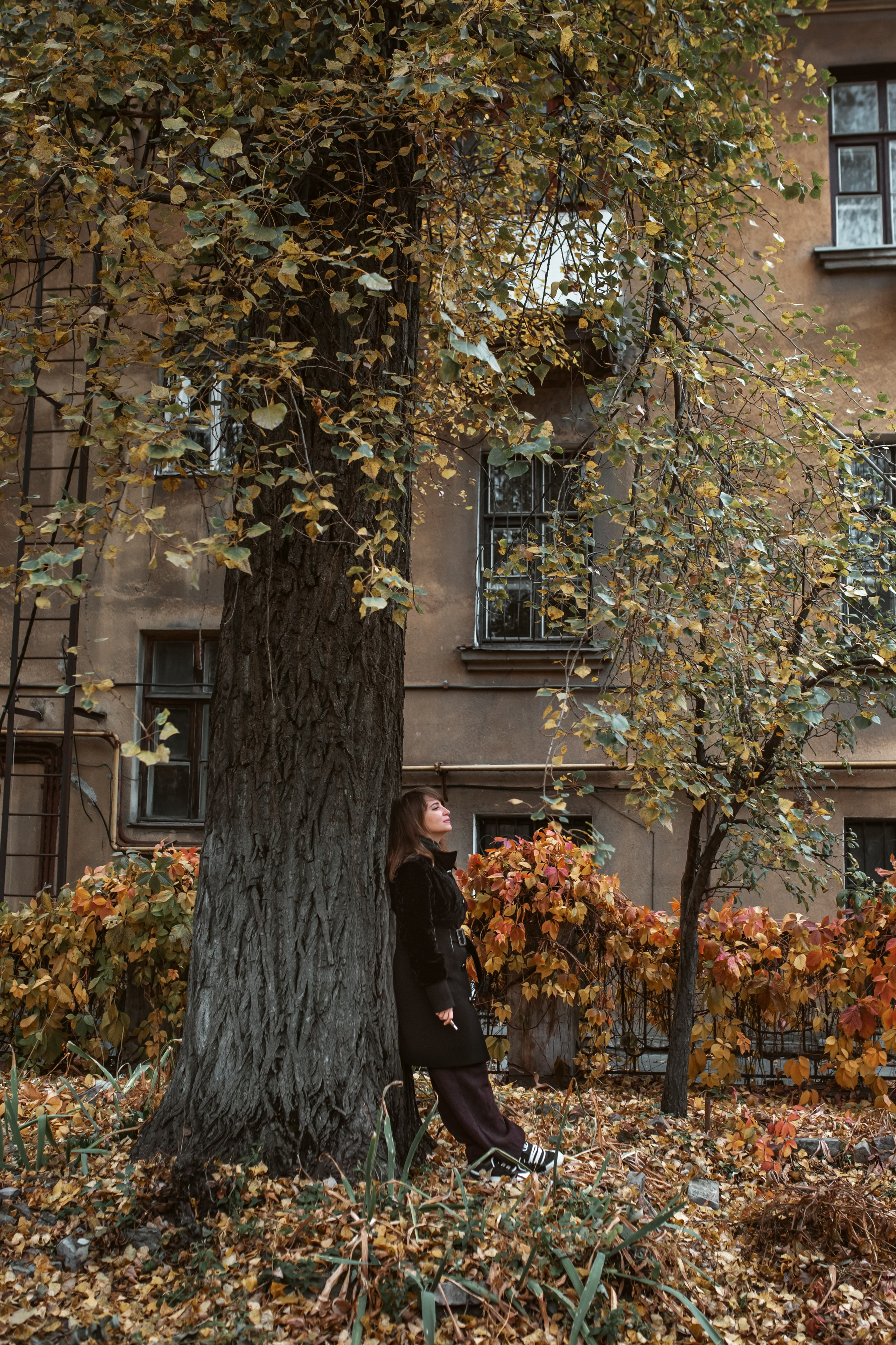 Осення фотосессия для солнечной Аревик