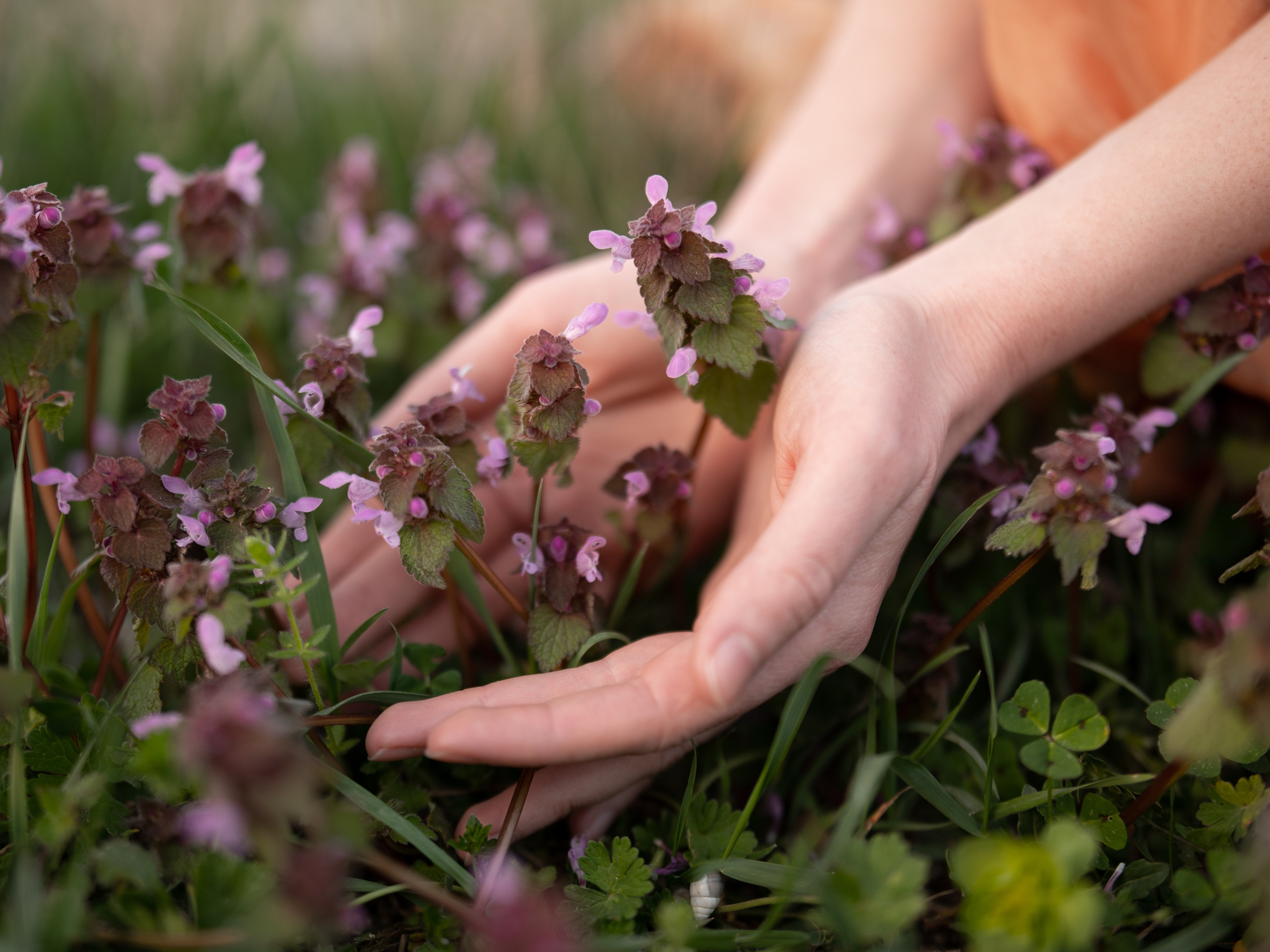 Фото цветов в руках