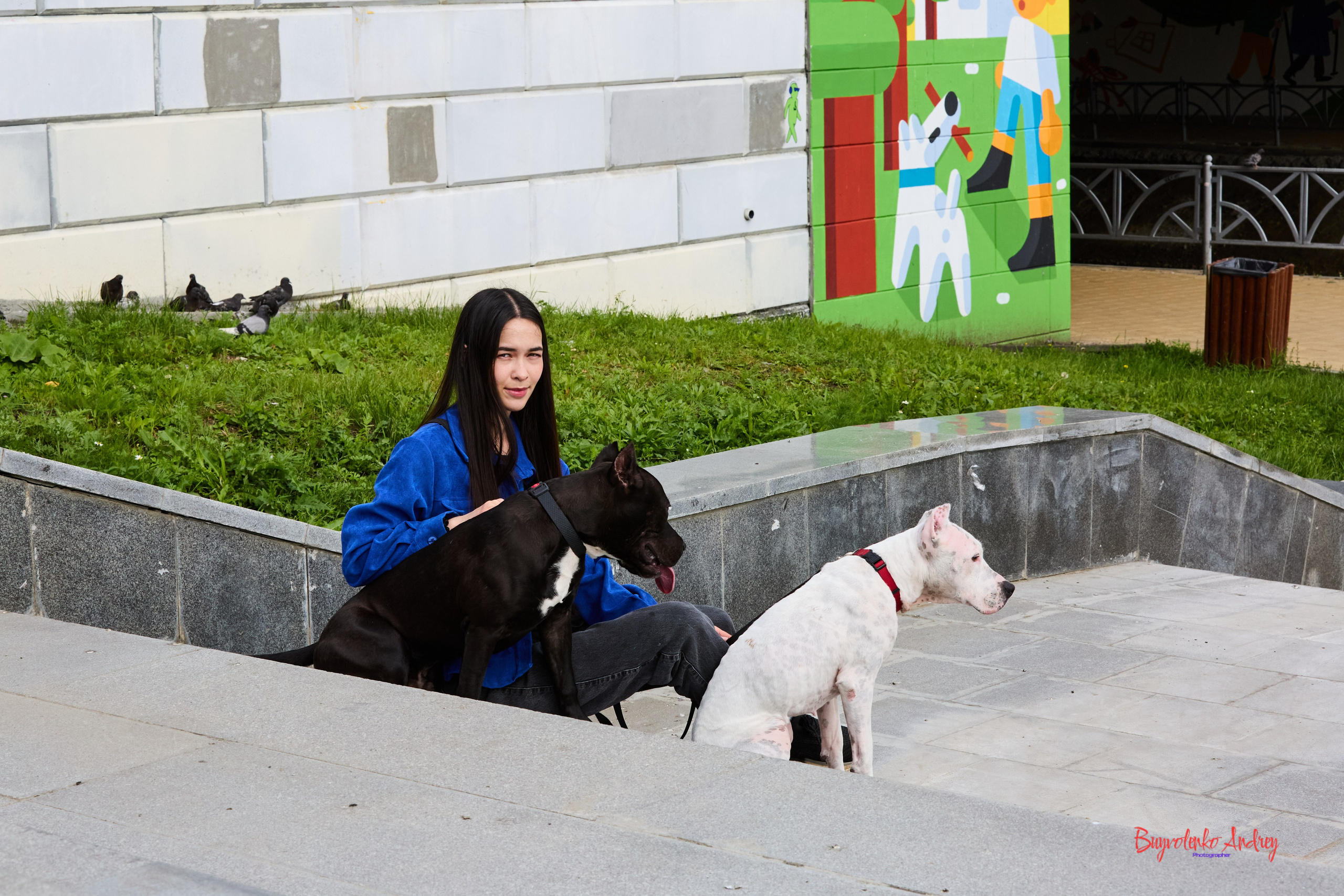 Проект фотопрогулка с хвостиком. Buyvolenko Andrey