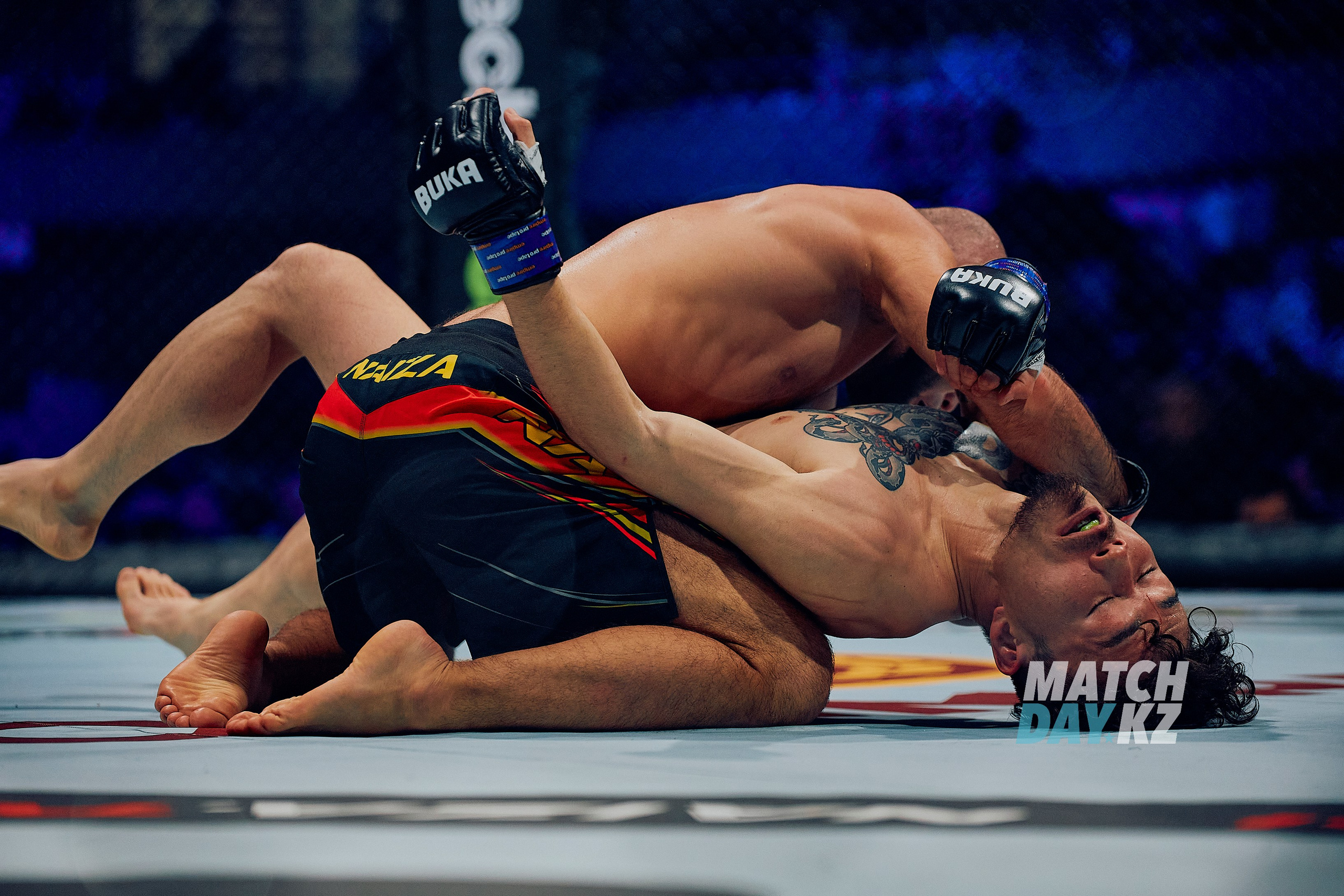 Naiza MMA (Astana) 6 December 2023. Professional photo & Event agency (Kazakhstan, Astana)