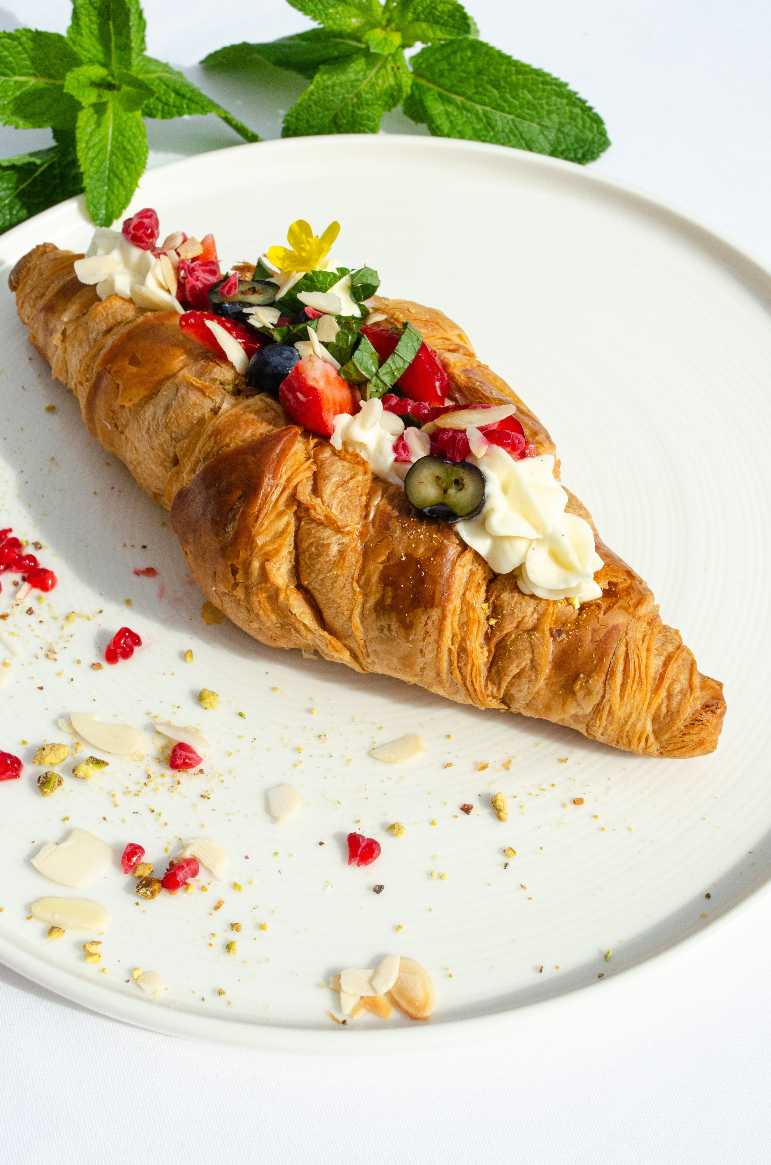 Роза Хутор Modys ресторан. Фотограф