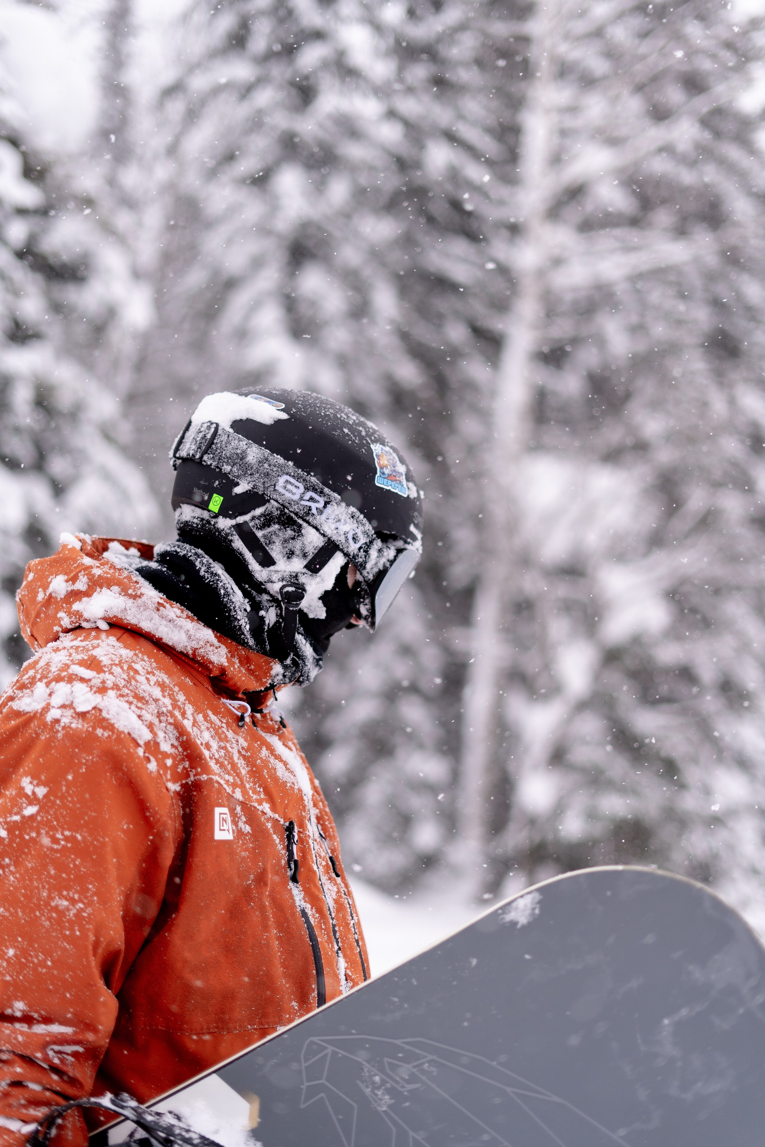 Джон 14.02. Анастасия Паршукова — фотограф Шерегеш Новосибирск