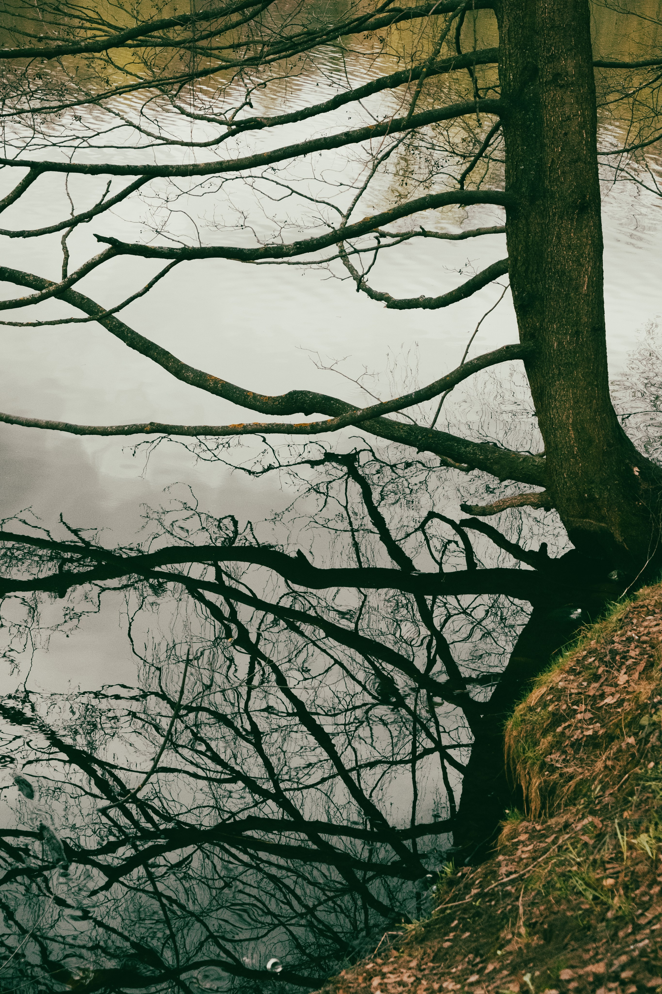 Текстуры апреля. Портретный и архитектурный фотограф в Москве и Санкт-Петербурге