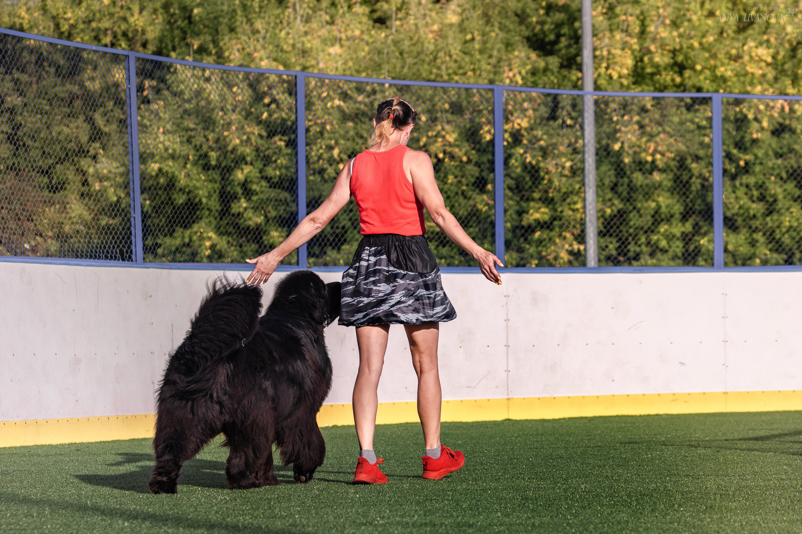 Ралли обидиенс. Фотограф анималист Аня Ливанова | Рыбинск