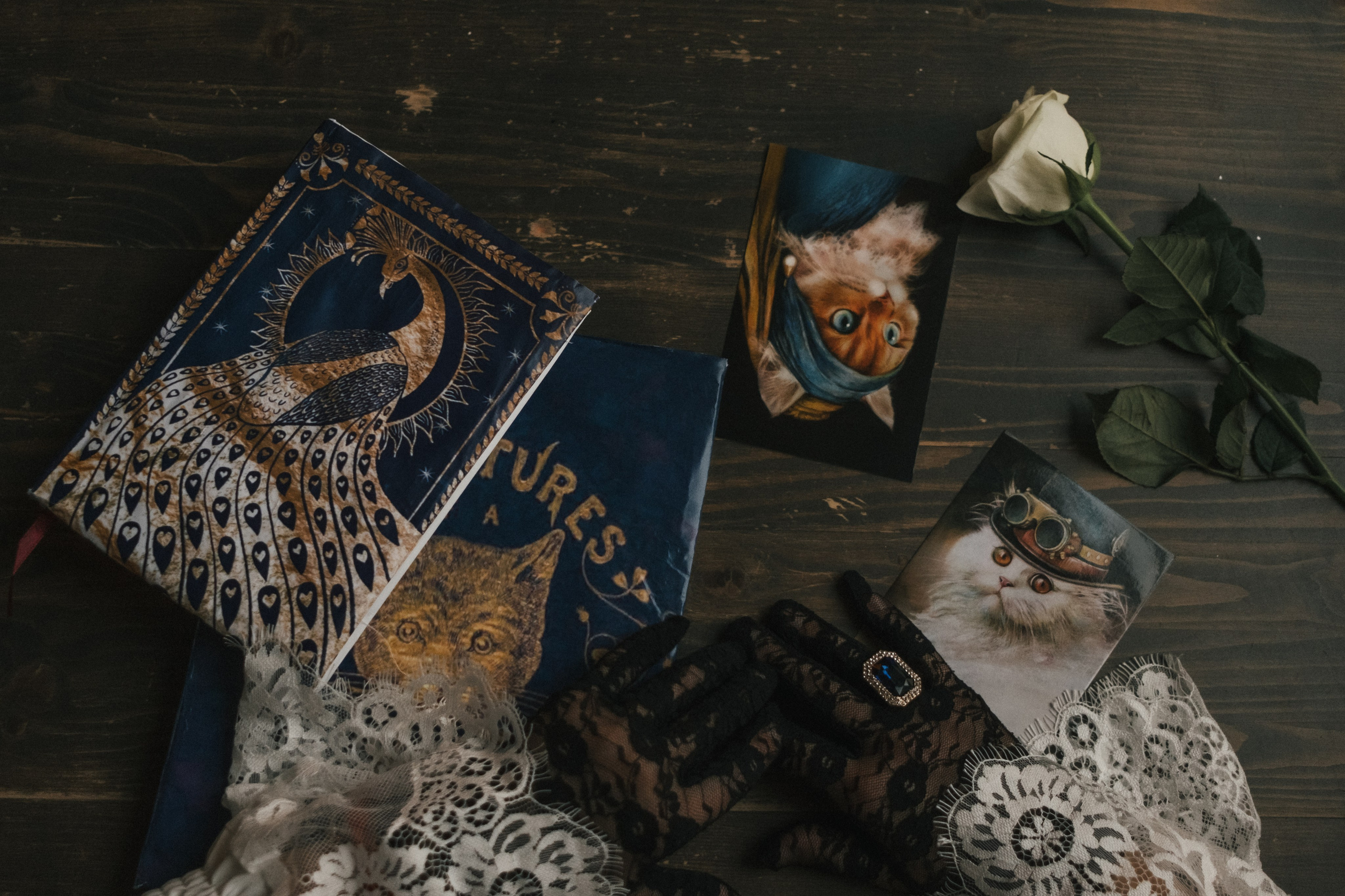 Отзывы. Фотограф в Москве (готова приехать к вам в город)