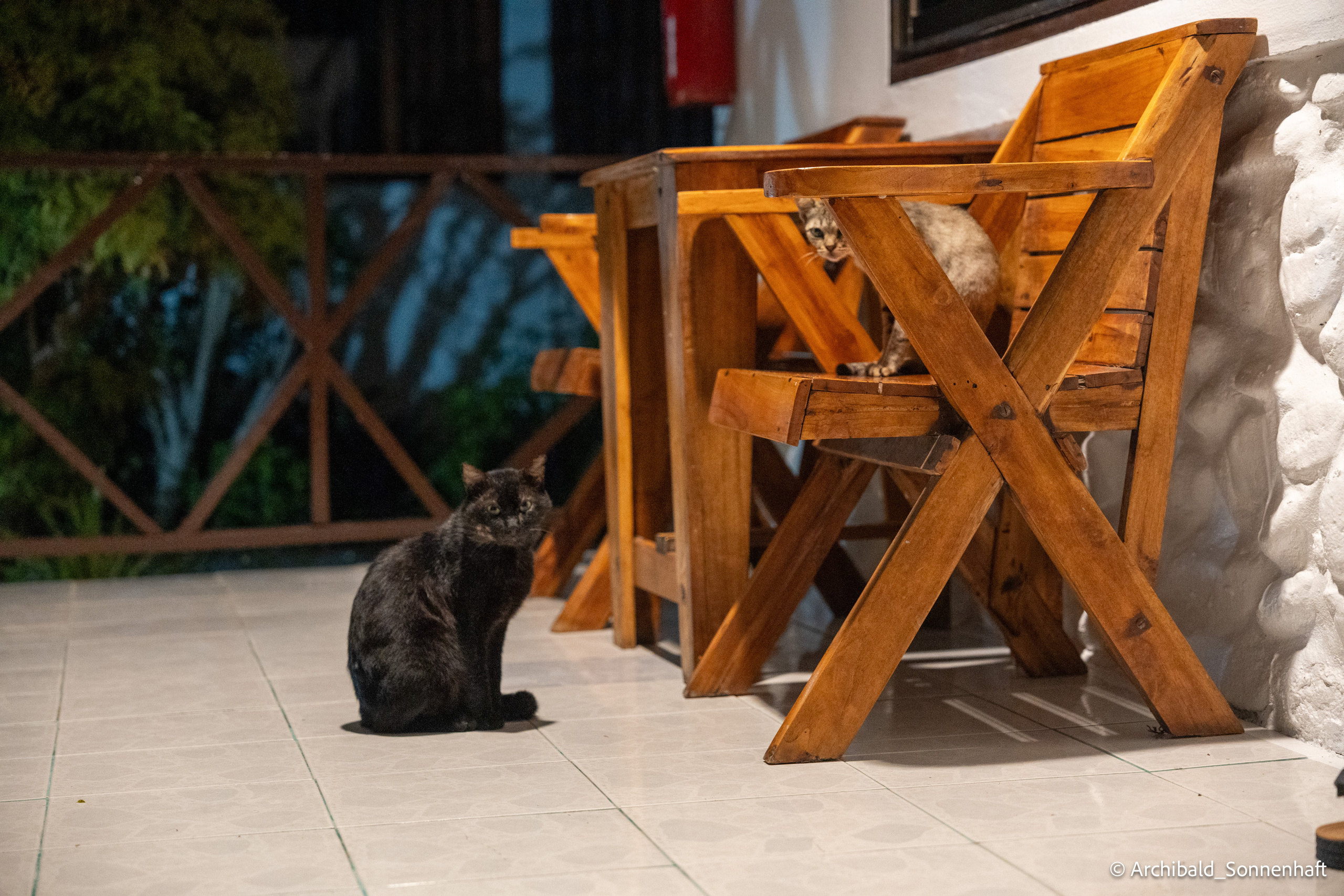 Thai Phuket to Phiphi. Photographer in Guangzhou, China. Archibald Sonnenhaft