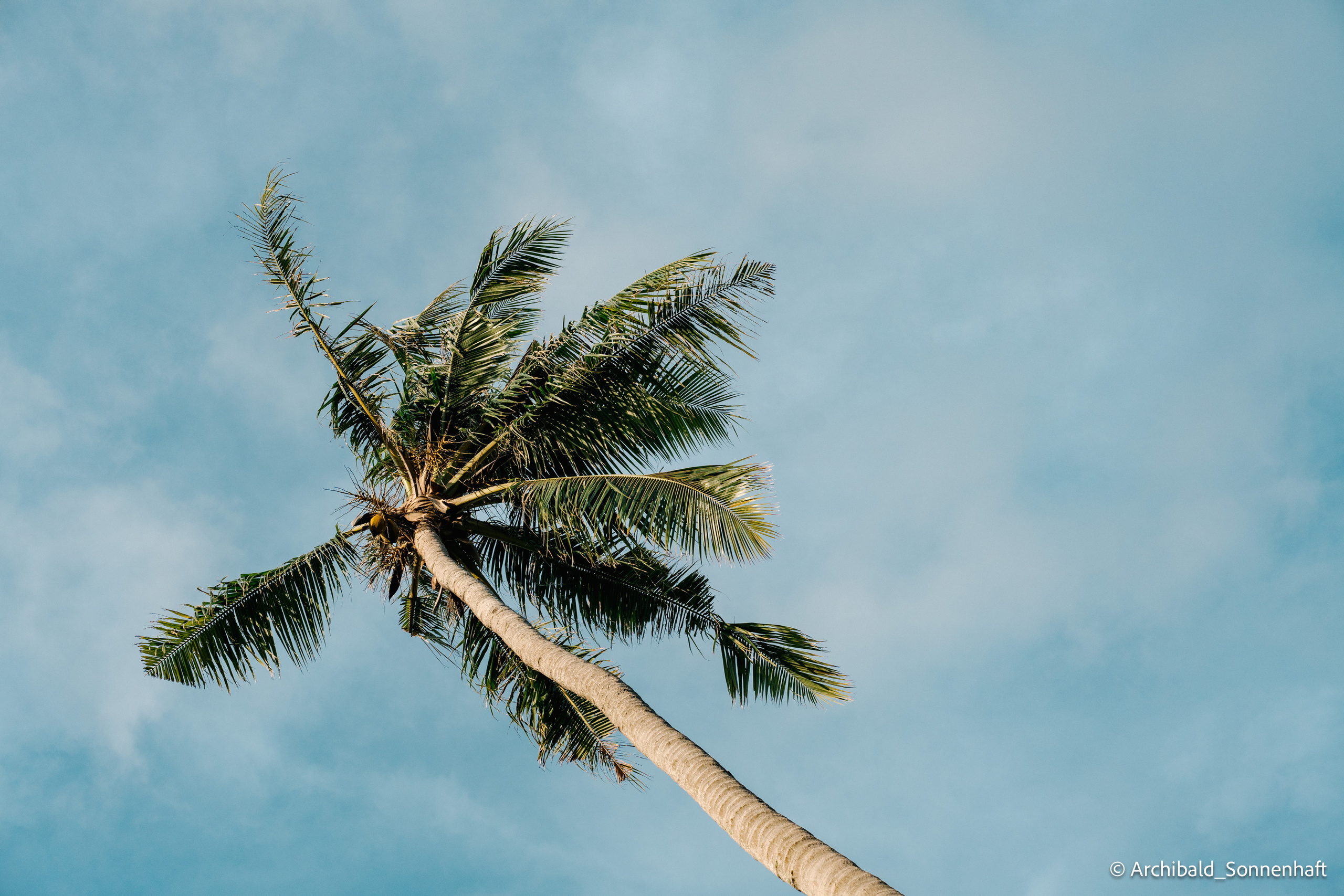 Thai, Phiphi. Photographer in Guangzhou, China. Archibald Sonnenhaft