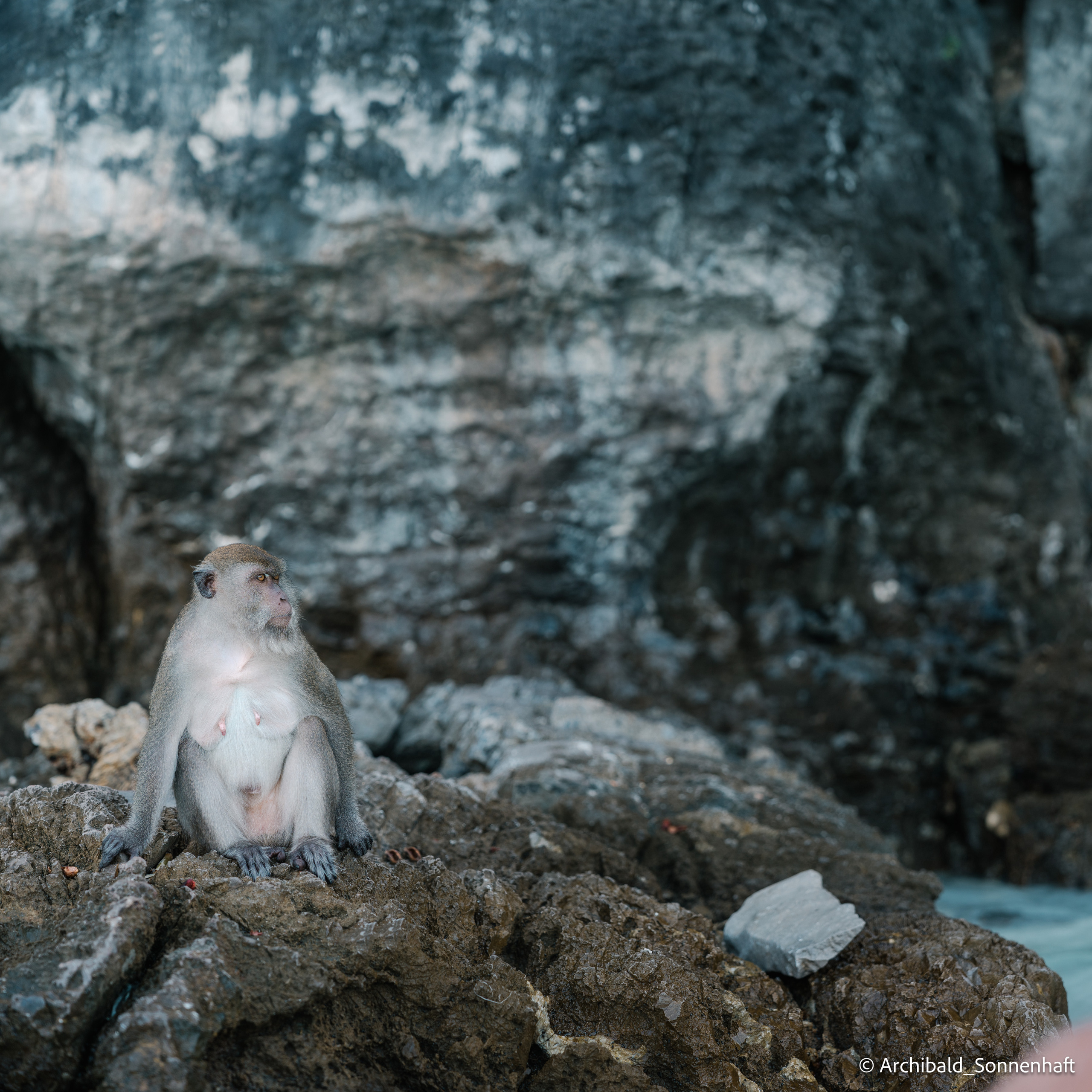 Thai, Phiphi. Photographer in Guangzhou, China. Archibald Sonnenhaft