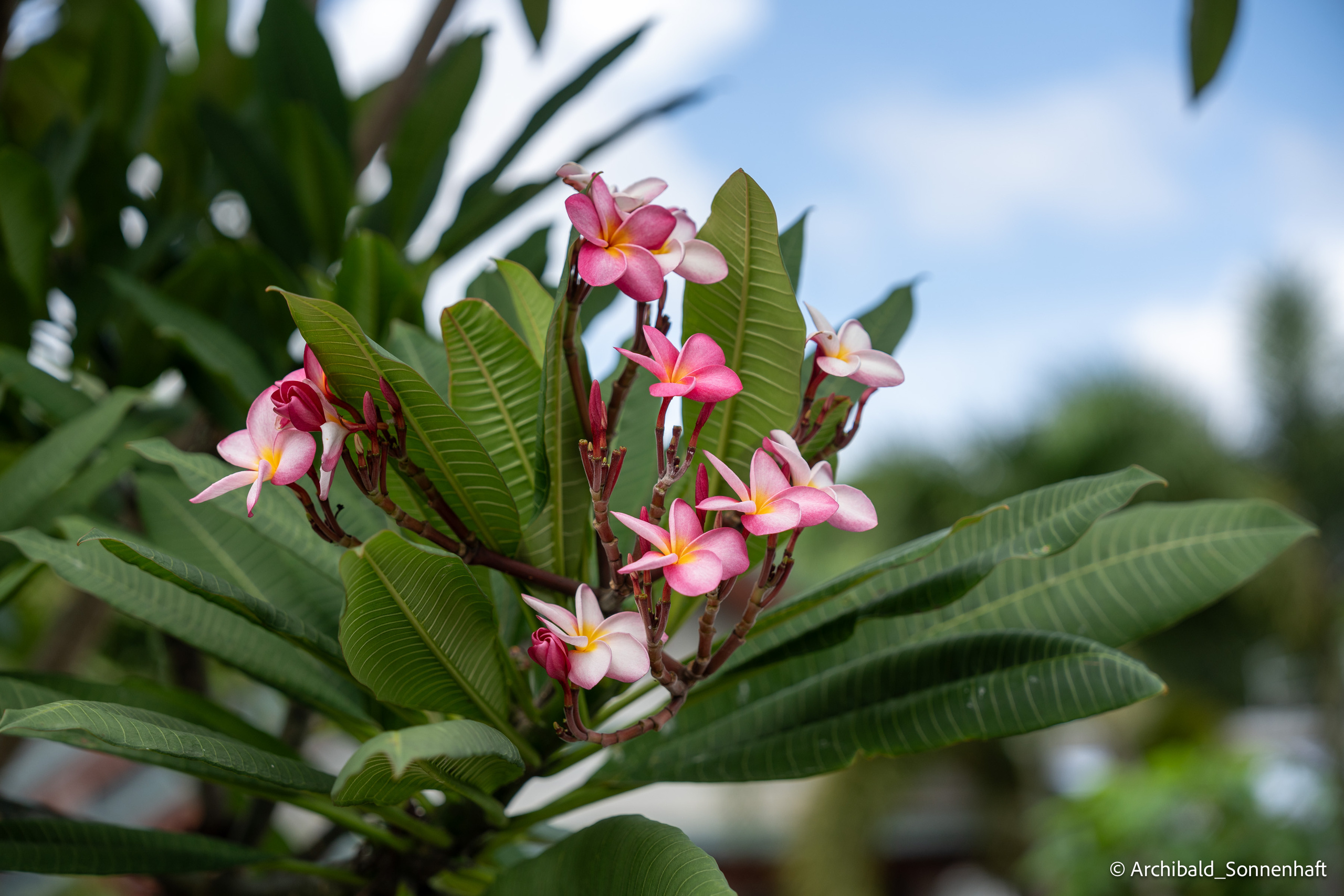 Thai Phuket to Phiphi. Photographer in Guangzhou, China. Archibald Sonnenhaft